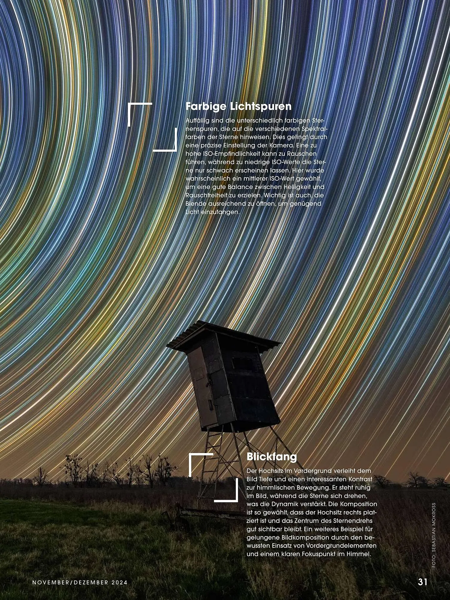 RINGFOTO Flugblatt von 1. November bis 31. Dezember 2024 - Flugblätt seite  31