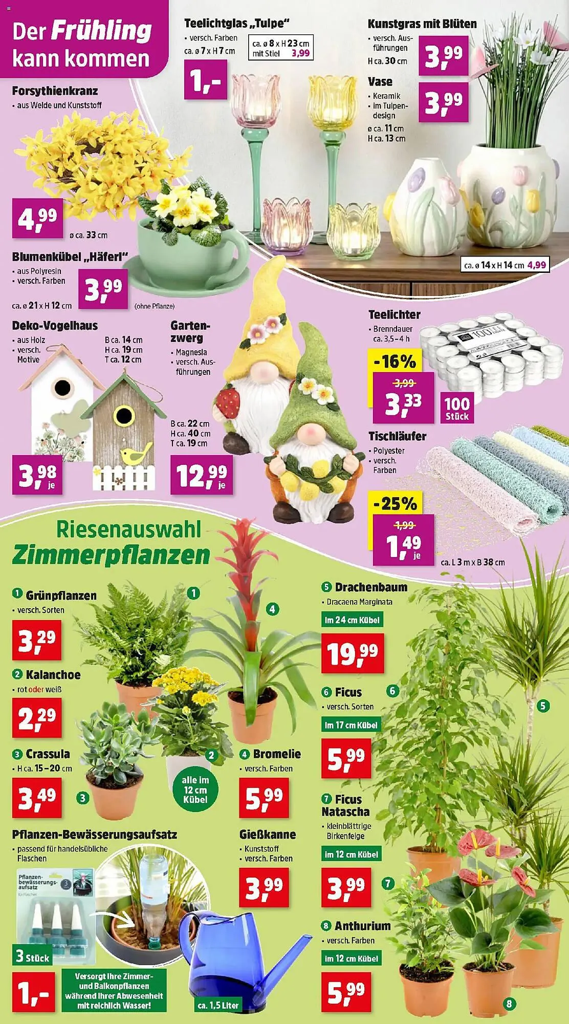 Thomas Philipps Prospekt von 26. Jänner bis 31. Jänner 2026 - Flugblätt seite  4