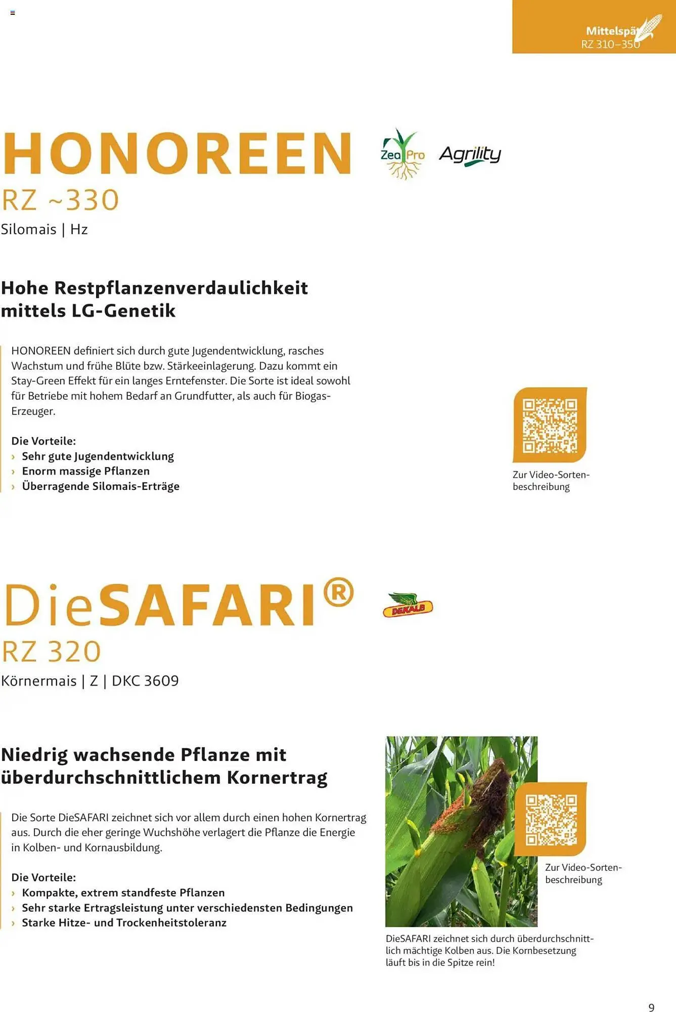 Lagerhaus Flugblatt von 4. Dezember bis 2. Juni 2025 - Flugblätt seite 9