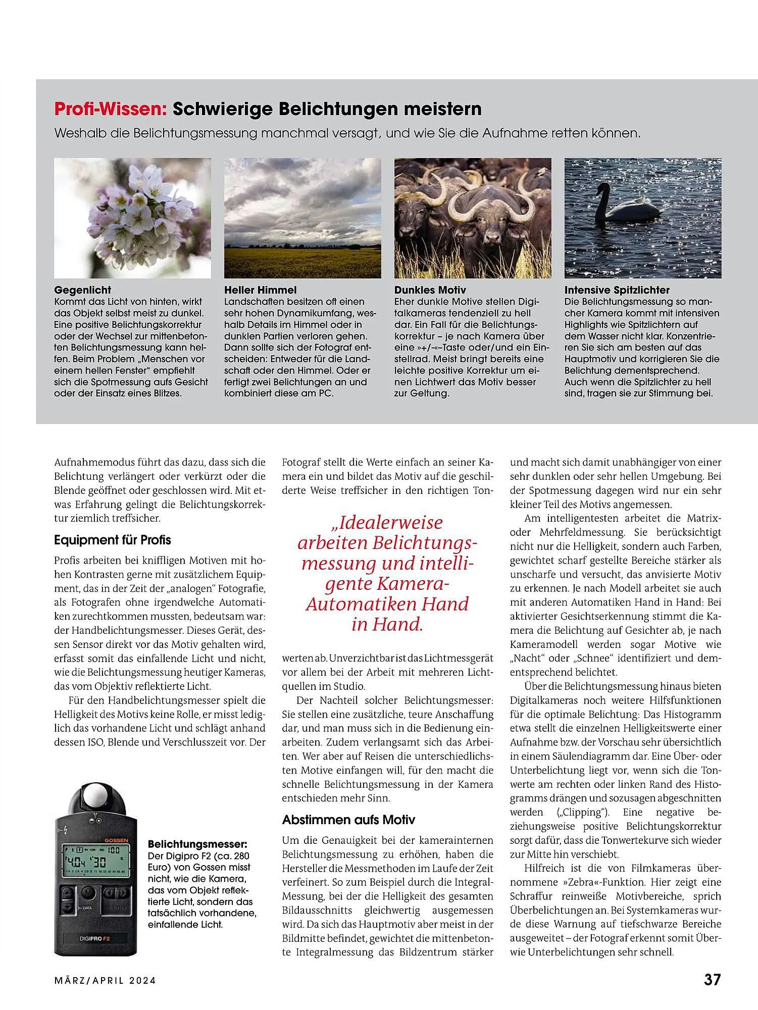 RINGFOTO Flugblatt von 1. März bis 30. April 2024 - Flugblätt seite 37