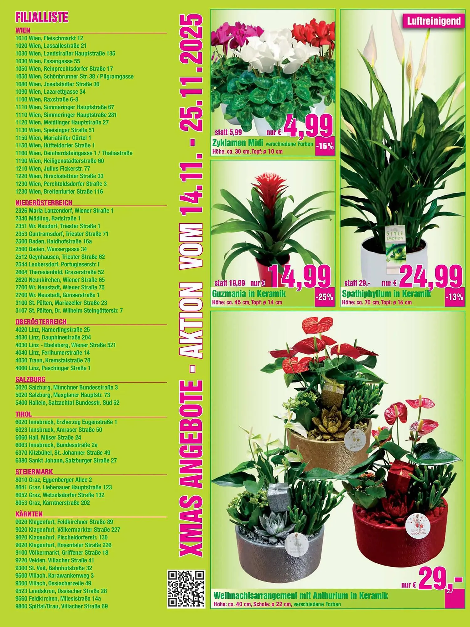 Blumen B&B Flugblatt von 14. November bis 25. November 2025 - Flugblätt seite 6