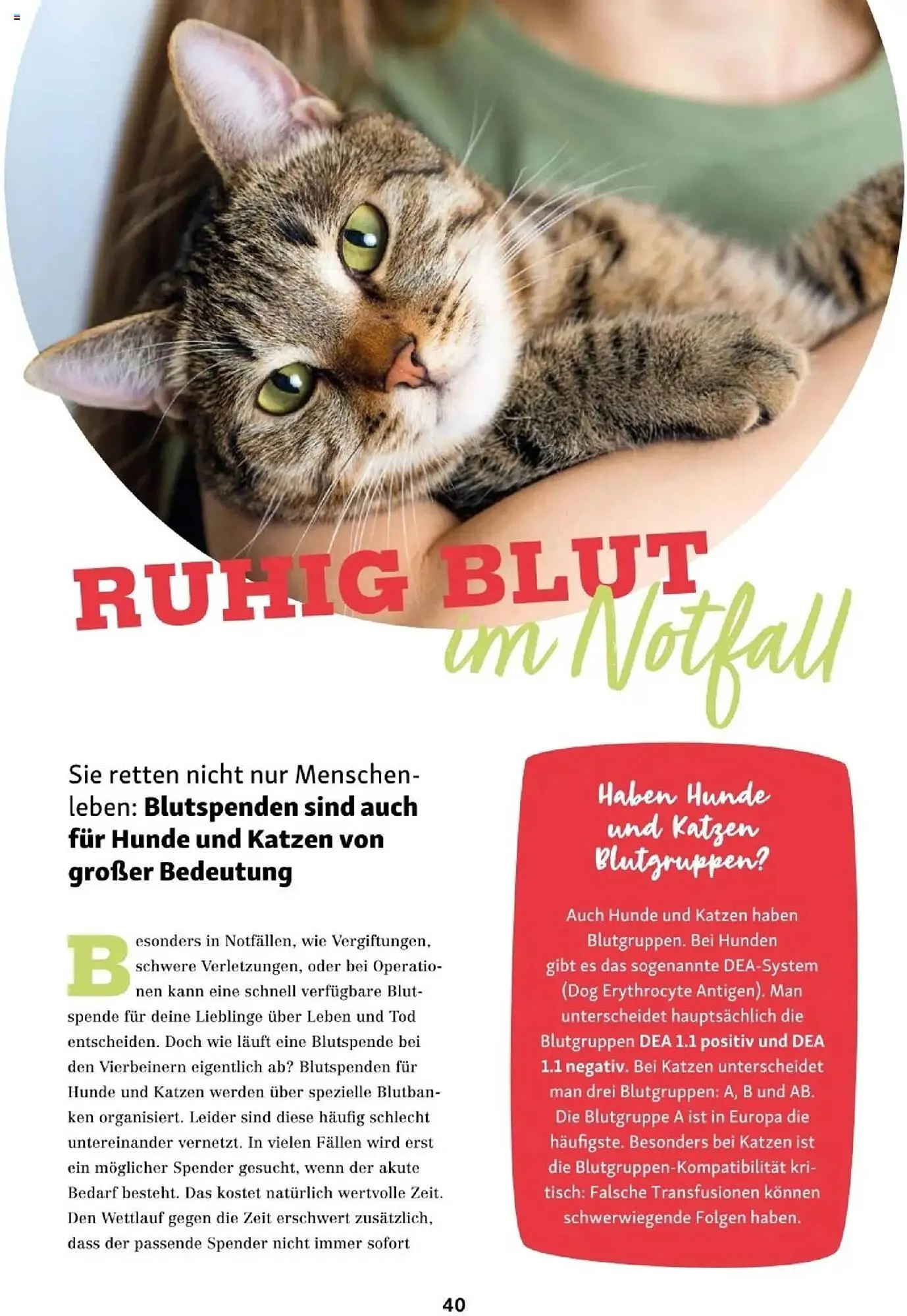 Fressnapf Flugblatt von 1. September bis 31. Oktober 2025 - Flugblätt seite  40