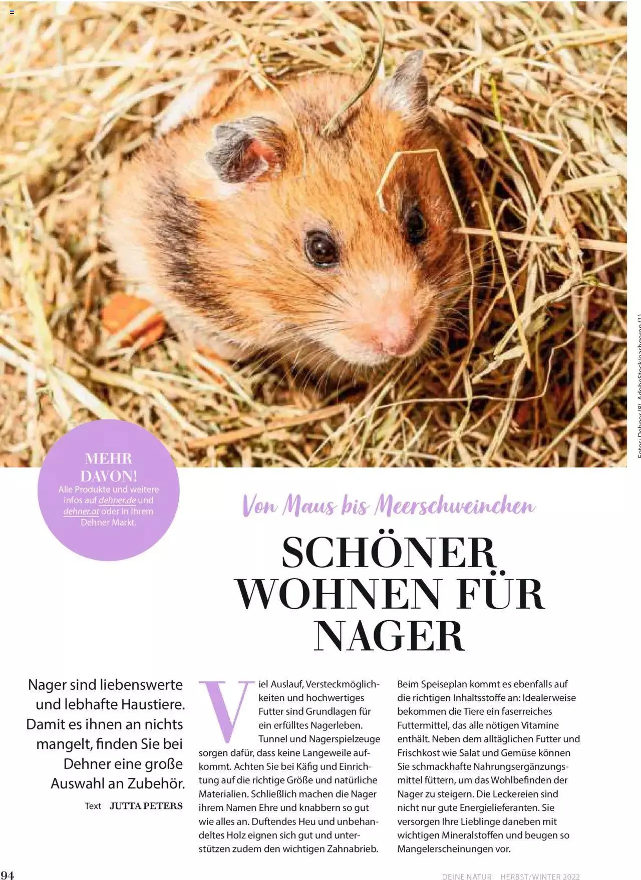 Dehner Flugblatt von 10. Oktober bis 31. Dezember 2023 - Flugblätt seite 94