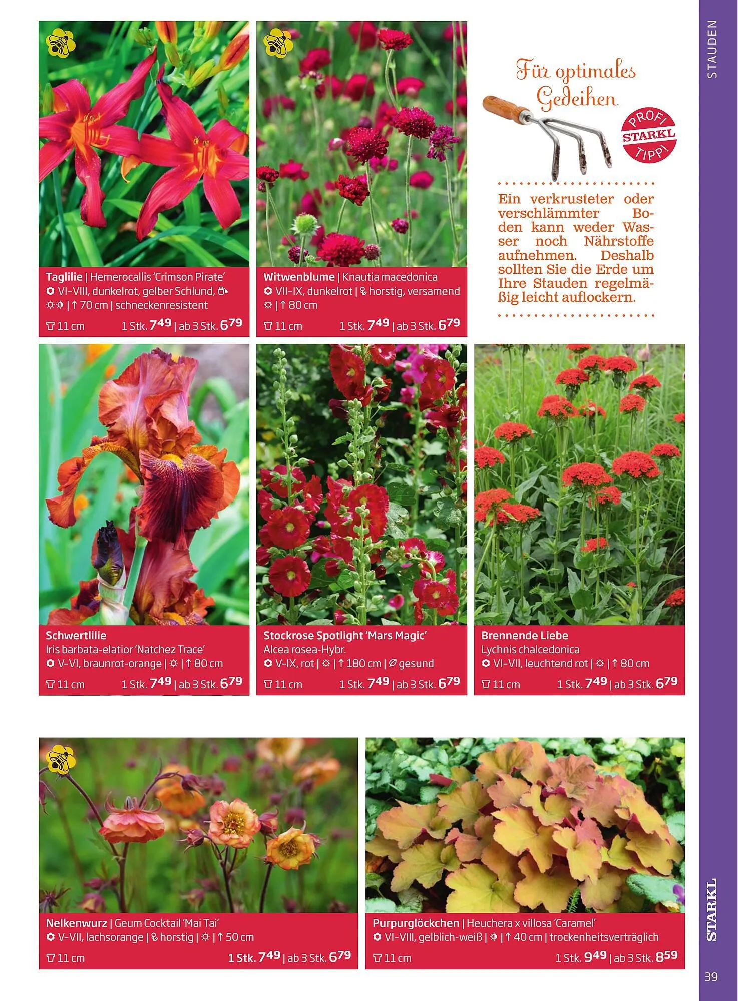 Starkl Flugblatt von 1. April bis 31. Dezember 2024 - Flugblätt seite  39