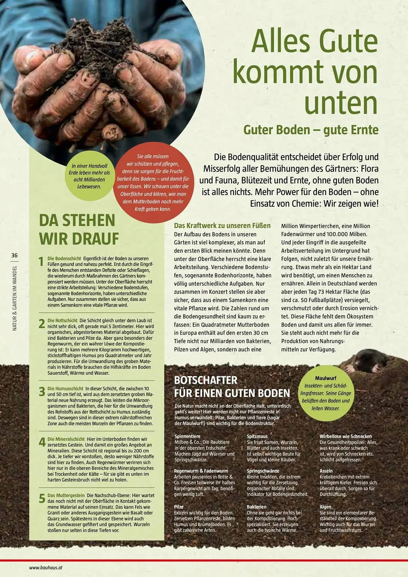 Bauhaus Flugblatt von 1. Juli bis 6. März 2026 - Flugblätt seite  36