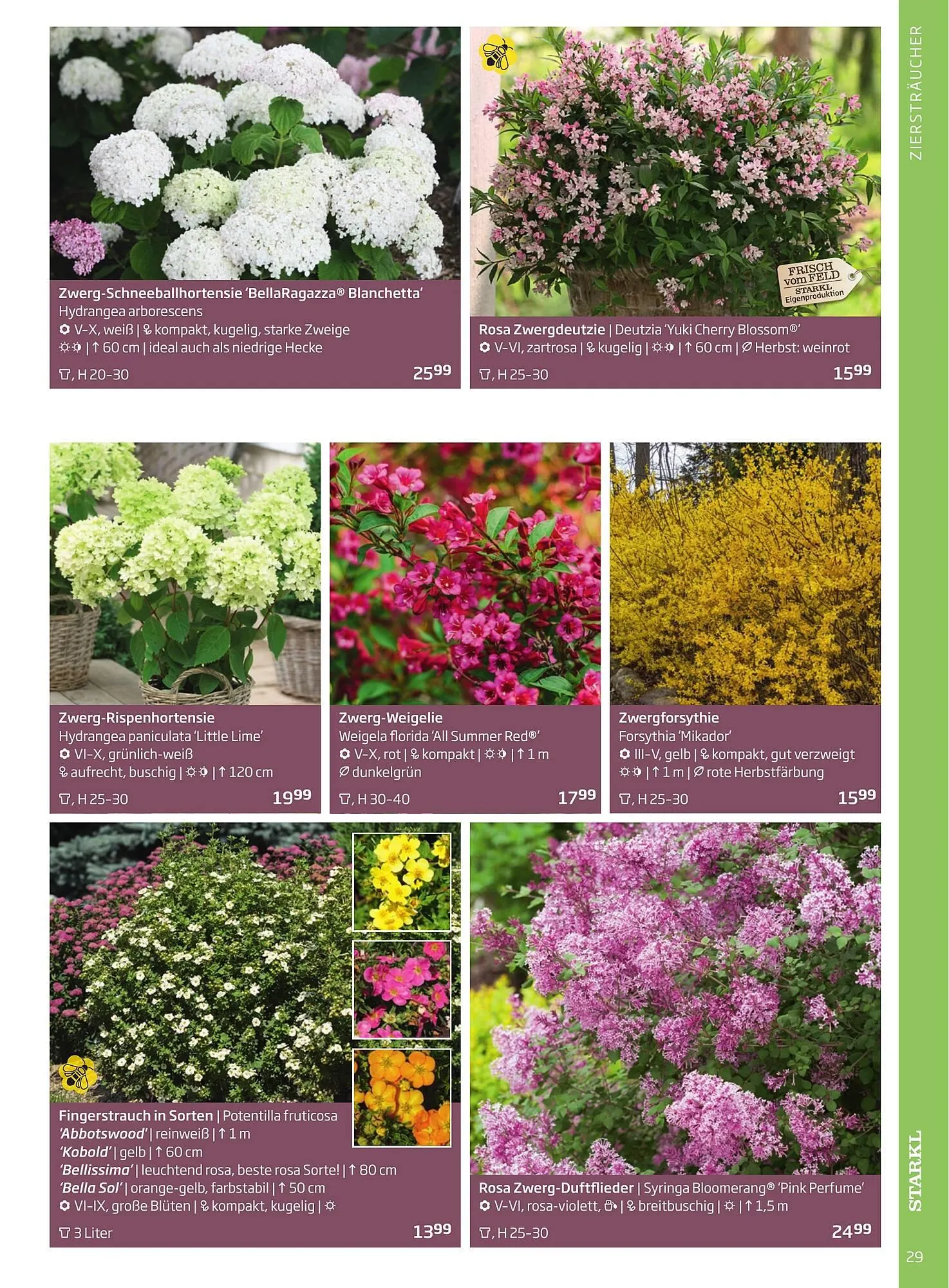 Starkl Flugblatt von 6. Juni bis 31. Dezember 2025 - Flugblätt seite  29