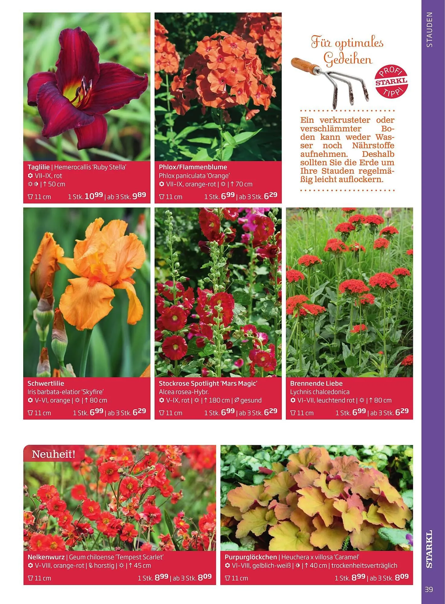 Starkl Flugblatt von 1. Jänner bis 31. Dezember 2023 - Flugblätt seite  39