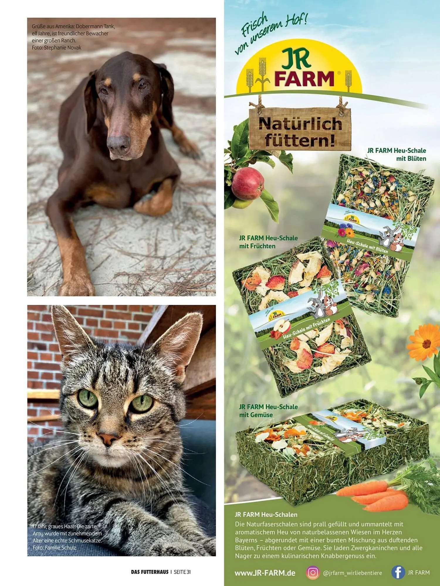 Das Futterhaus Flugblatt von 1. April bis 20. Mai 2024 - Flugblätt seite  31