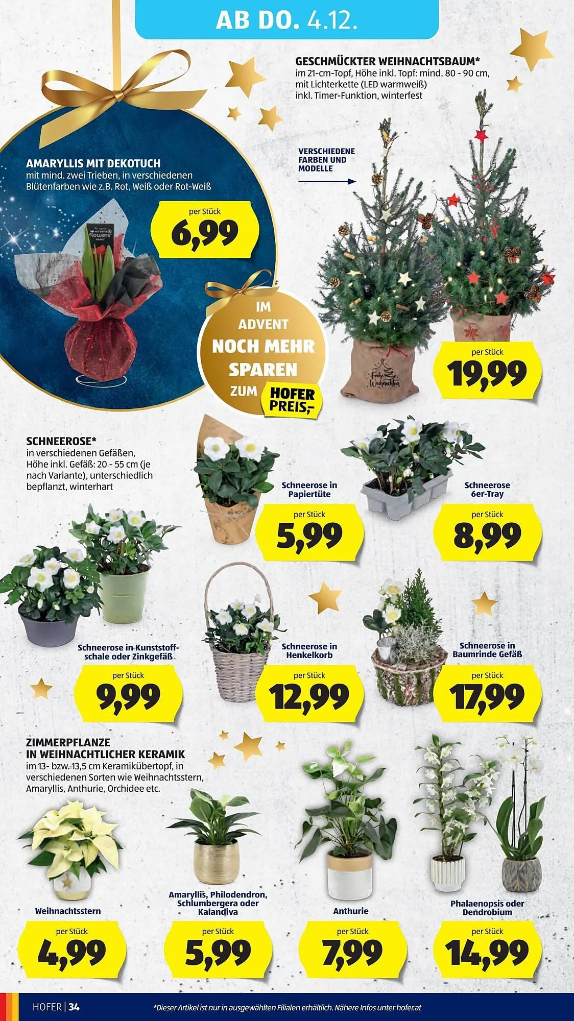Hofer Flugblatt von 28. November bis 4. Dezember 2025 - Flugblätt seite  50