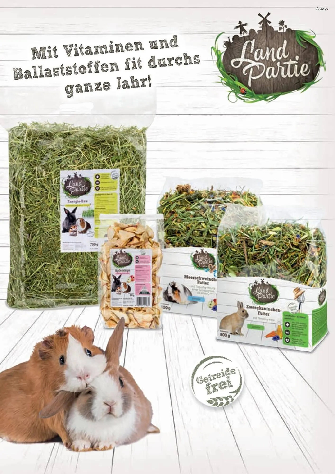 ZOO & Co Flugblatt von 30. August bis 8. November 2024 - Flugblätt seite 29