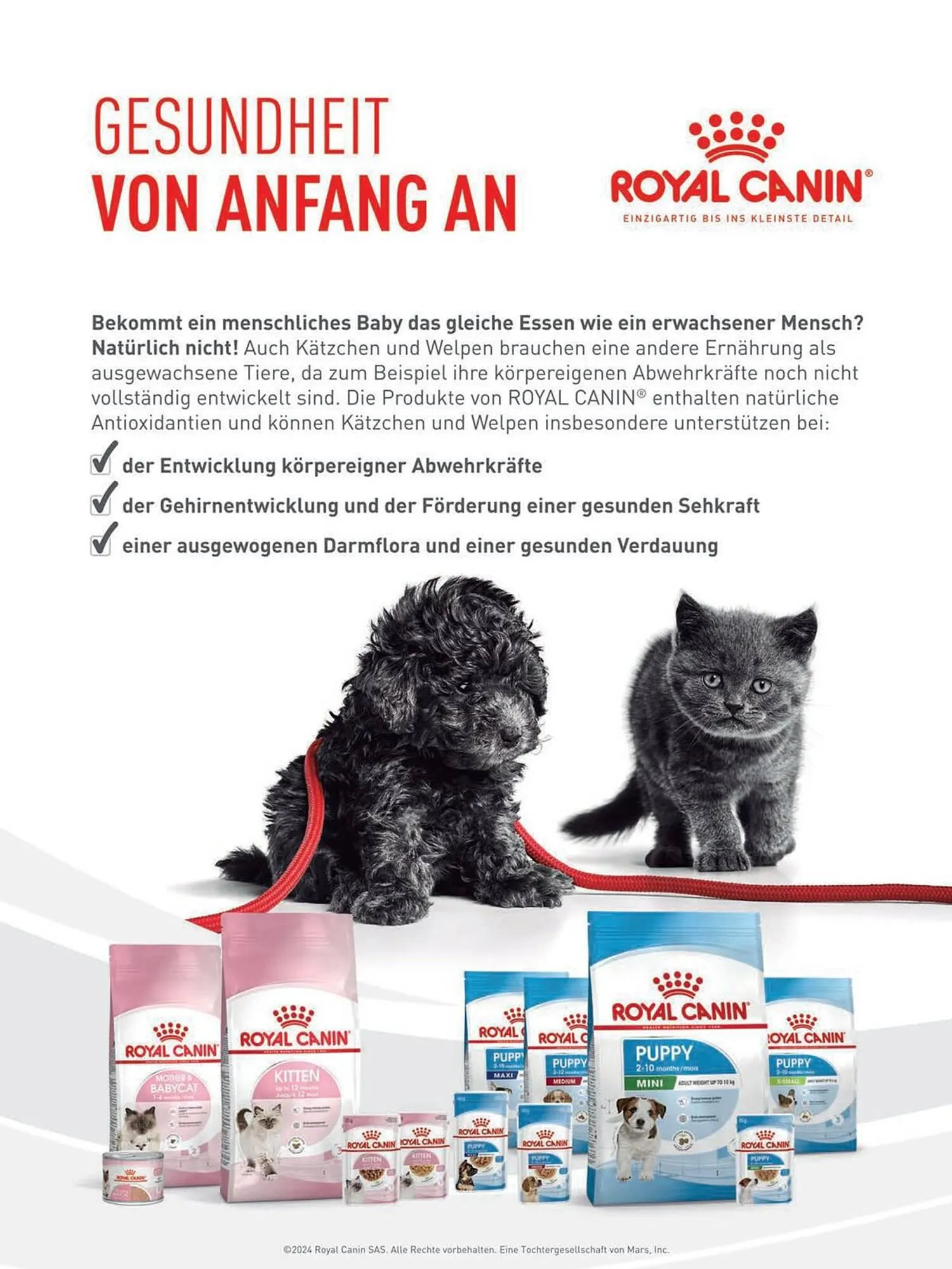 Das Futterhaus Flugblatt von 1. April bis 20. Mai 2024 - Flugblätt seite  4