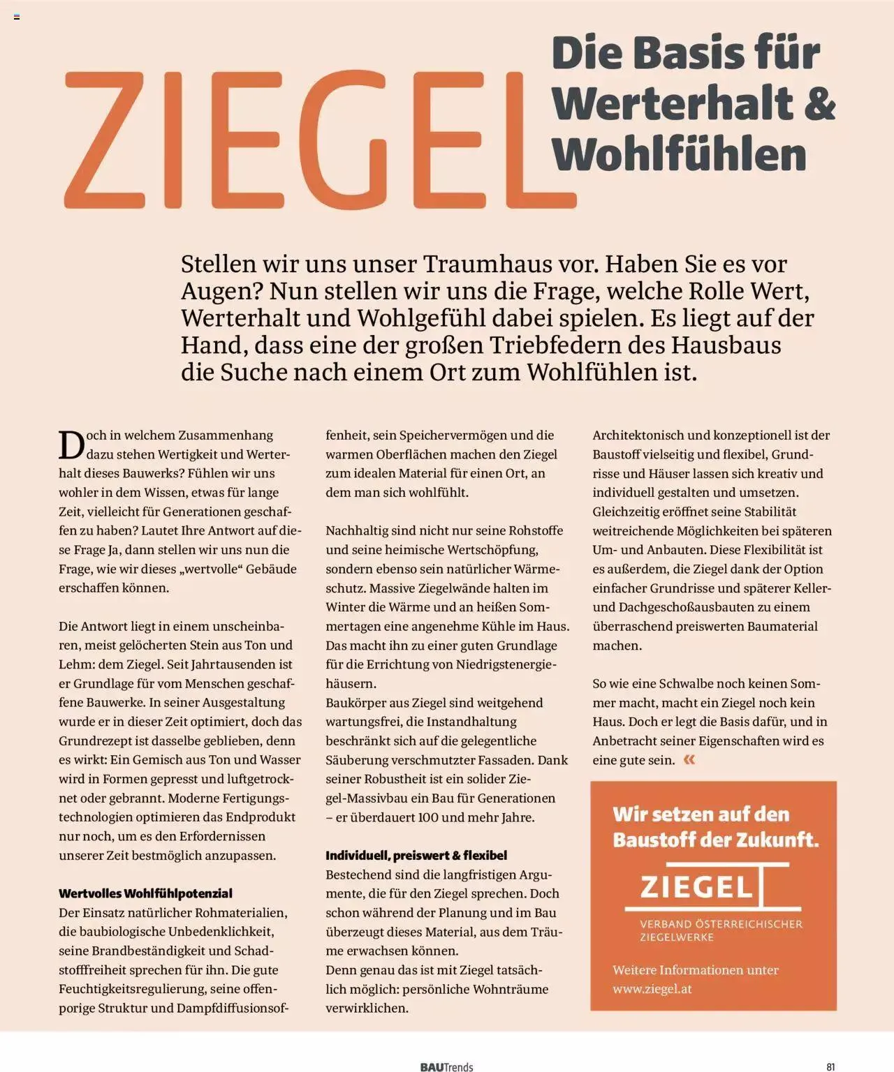 Hagebau Bautrends von 4. April bis 31. Dezember 2024 - Flugblätt seite 81