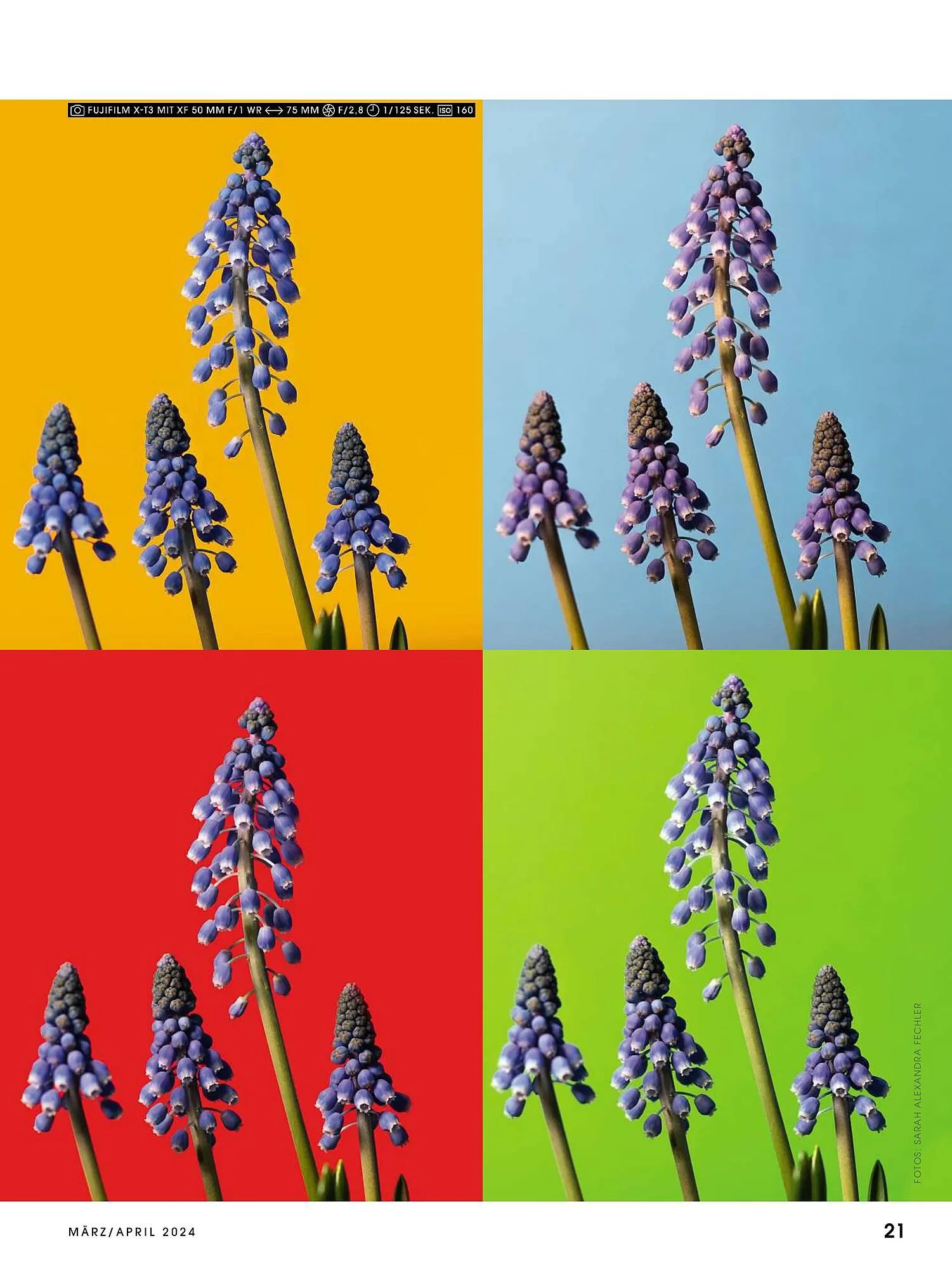 RINGFOTO Flugblatt von 1. März bis 30. April 2024 - Flugblätt seite  21