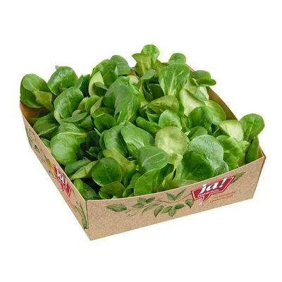 Ja! Natürlich Vogerlsalat aus Österreich / Italien