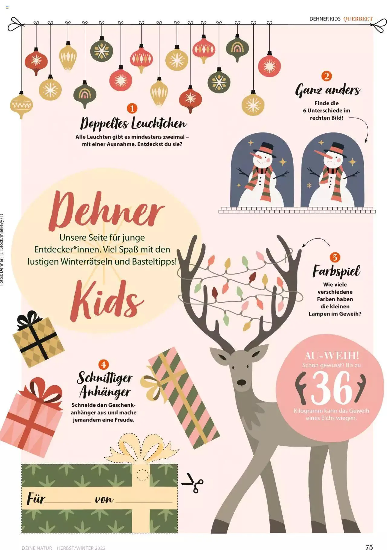 Dehner Flugblatt von 10. Oktober bis 31. Dezember 2023 - Flugblätt seite  75
