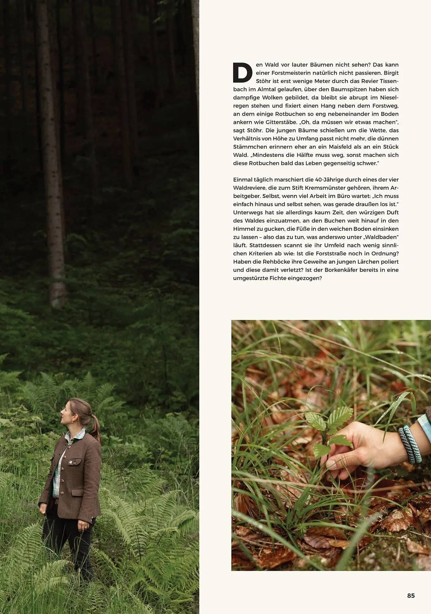 Grüne Erde Flugblatt von 31. Juli bis 31. Dezember 2025 - Flugblätt seite  85