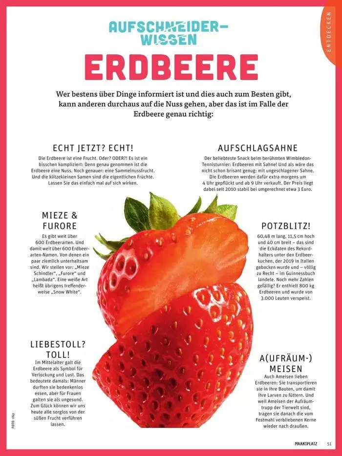 Basic Biomarkt Flugblatt von 22. Mai bis 30. Juni 2024 - Flugblätt seite  51