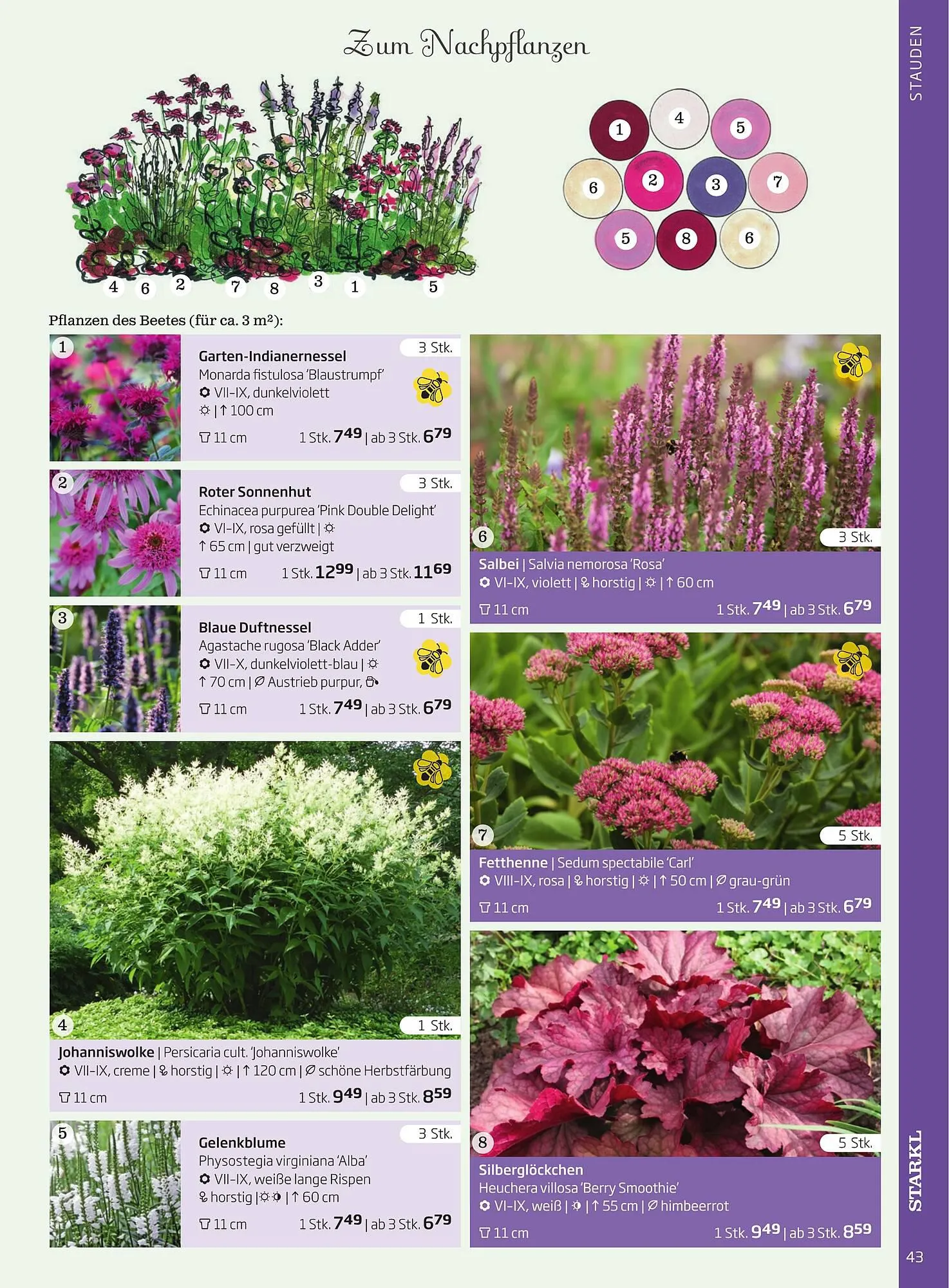 Starkl Flugblatt von 1. April bis 31. Dezember 2024 - Flugblätt seite  43