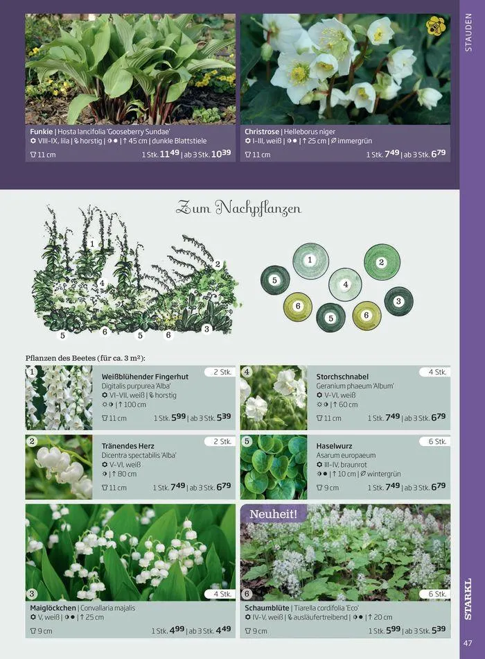 Gartencenter Jahreskatalog 2024 von 20. Mai bis 31. Dezember 2024 - Flugblätt seite  47