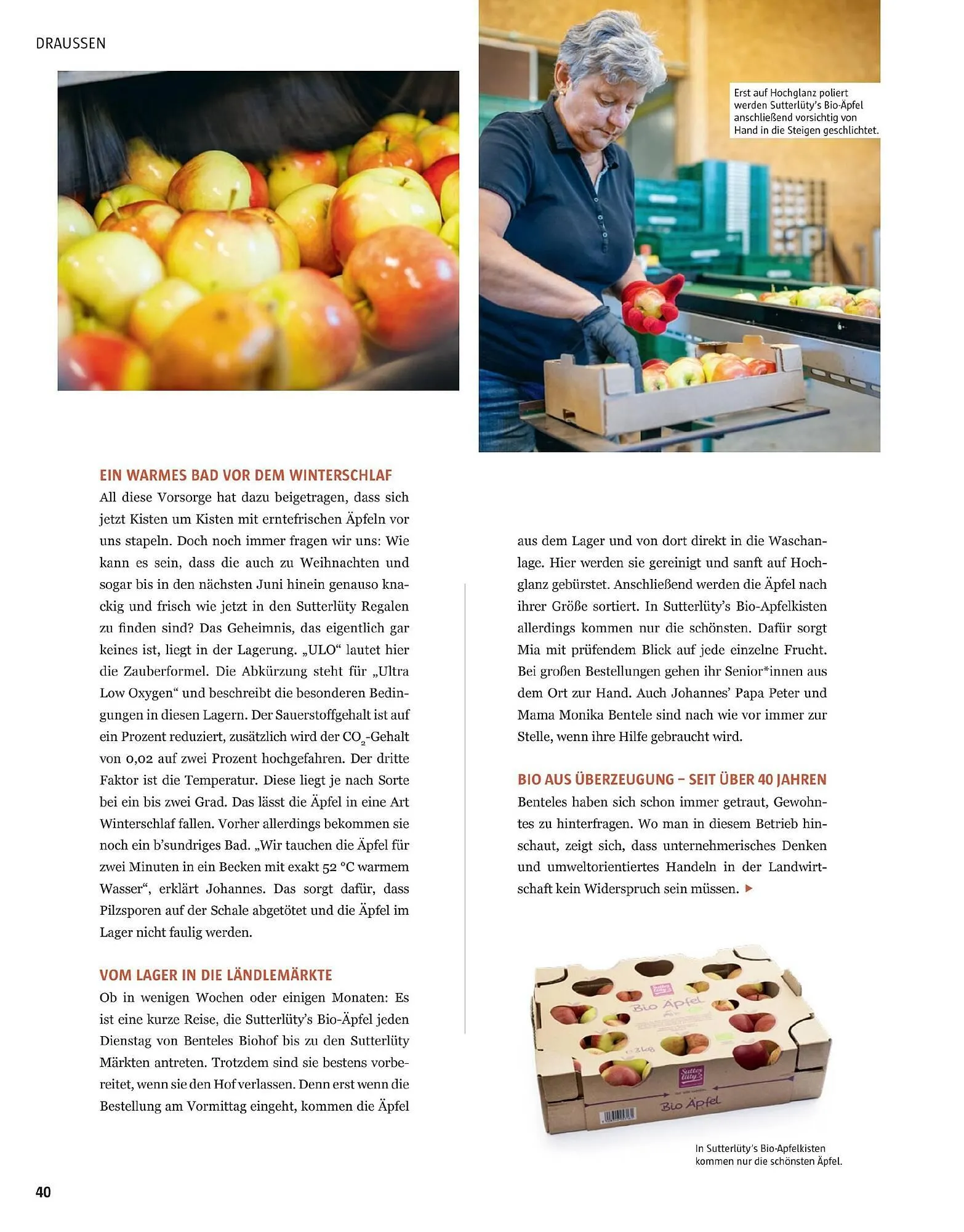 Sutterlüty Flugblatt von 17. November bis 29. Jänner 2026 - Flugblätt seite  105