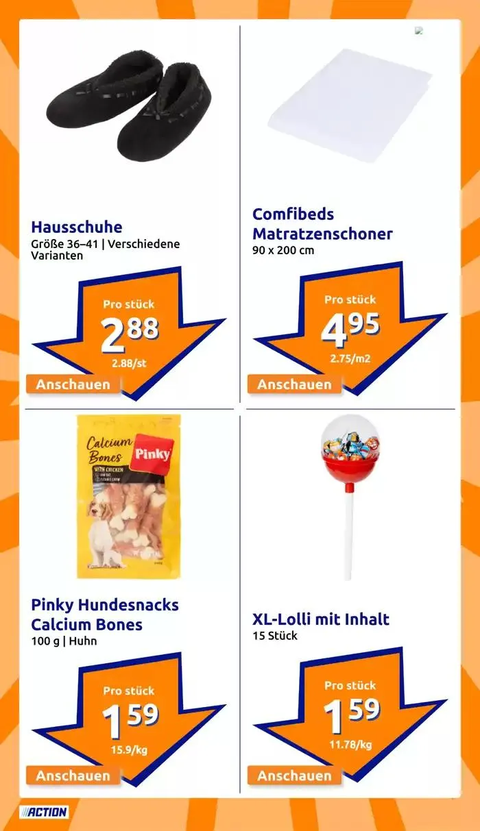 Action flugblatt von 22. Jänner bis 5. Februar 2025 - Flugblätt seite 21