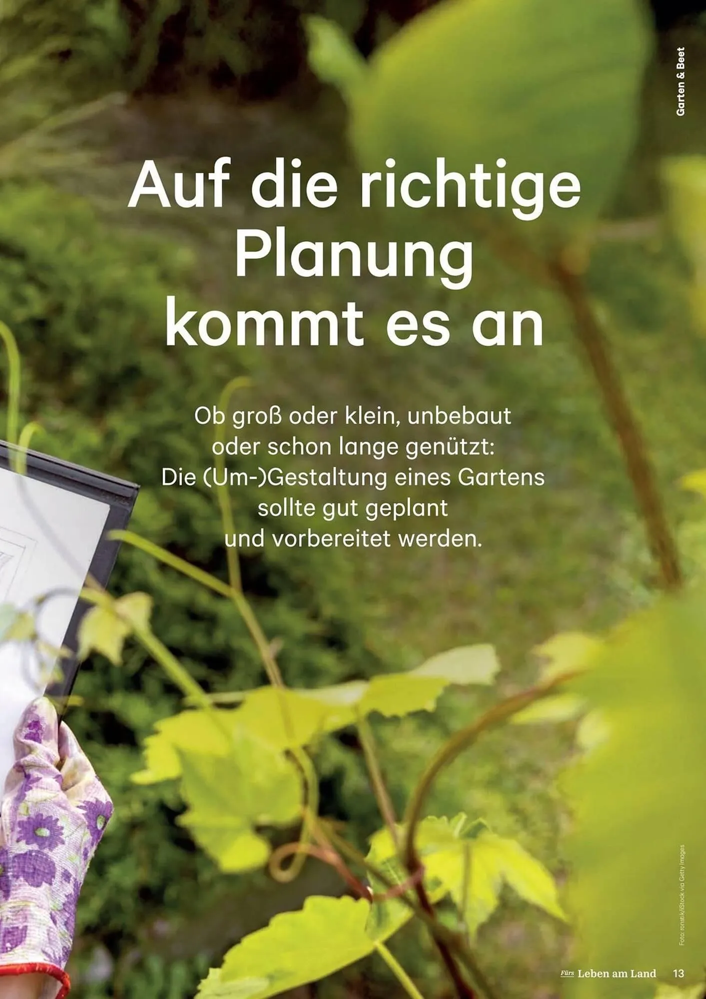 Lagerhaus Flugblatt von 1. Februar bis 28. Februar 2026 - Flugblätt seite  13