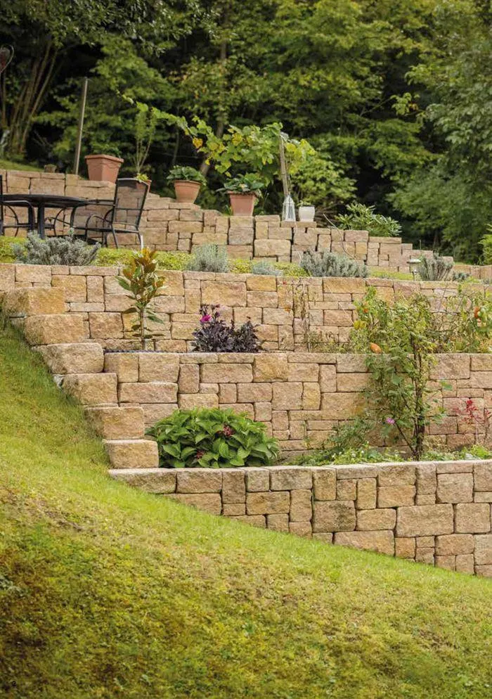 Casafino Katalog von 1. Februar bis 31. Dezember 2024 - Flugblätt seite 2