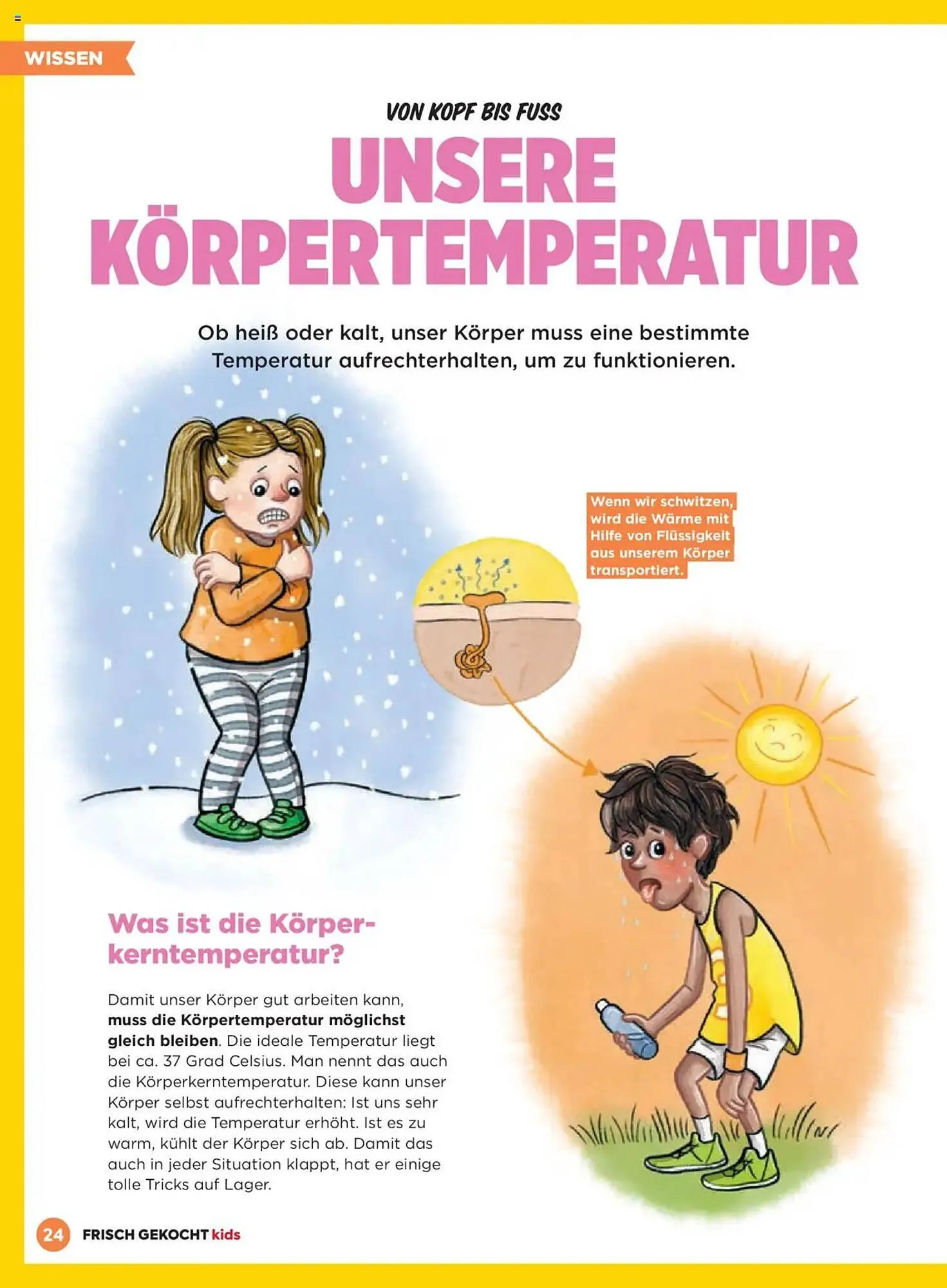 Billa Flugblatt von 1. Jänner bis 28. Februar 2025 - Flugblätt seite 24