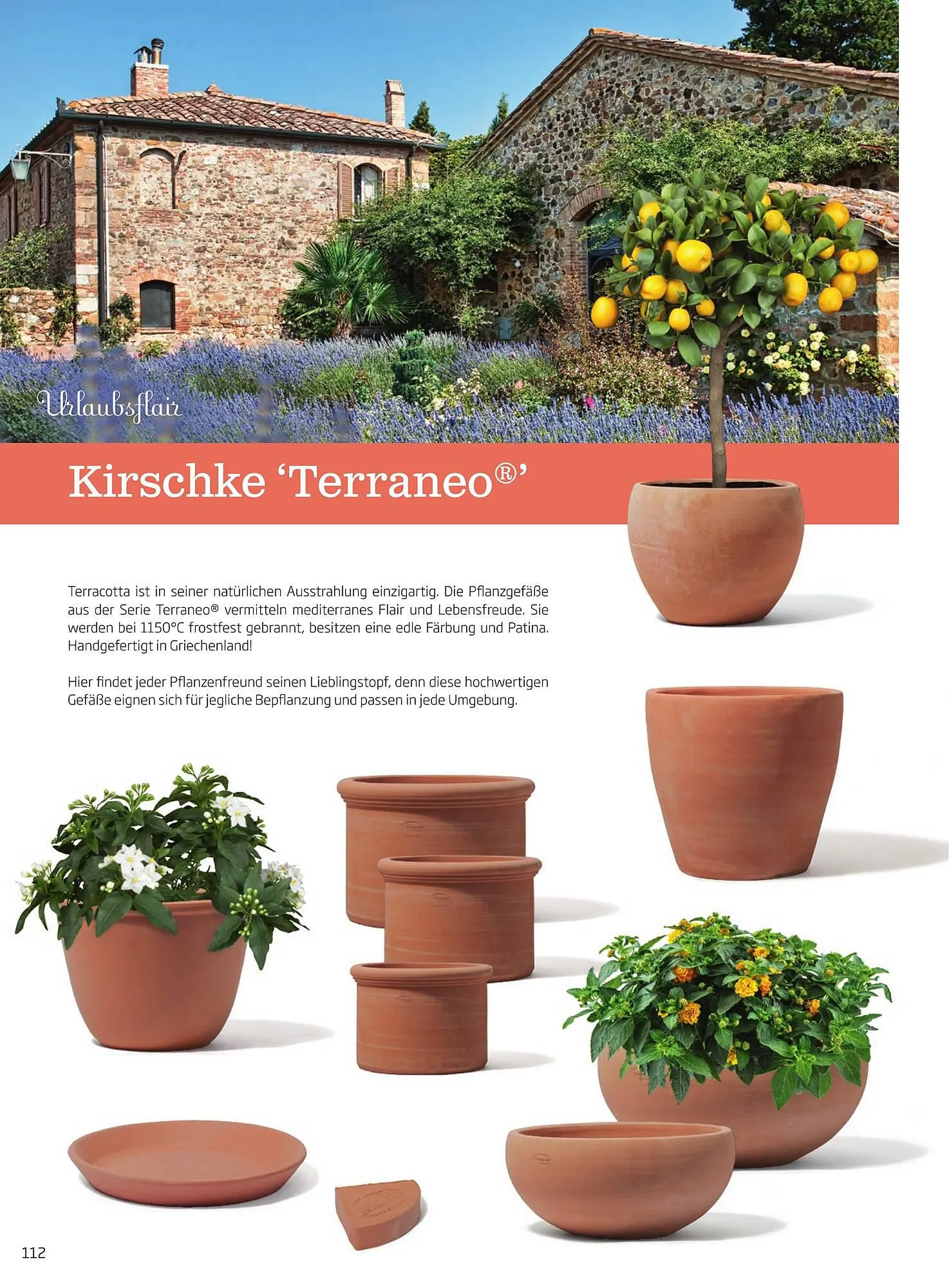 Starkl Flugblatt von 1. April bis 31. Dezember 2024 - Flugblätt seite 112