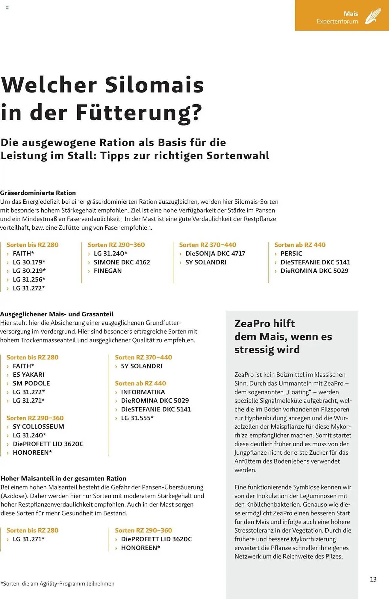 Lagerhaus Flugblatt von 4. Dezember bis 2. Juni 2025 - Flugblätt seite 13