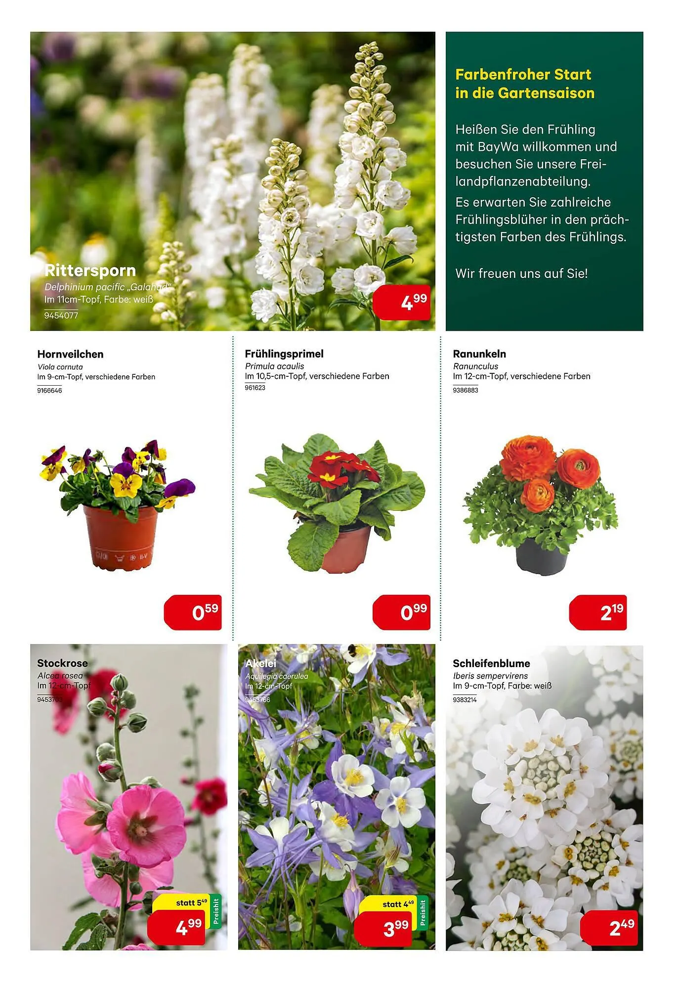 BayWa Flugblatt von 14. März bis 30. März 2024 - Flugblätt seite 7