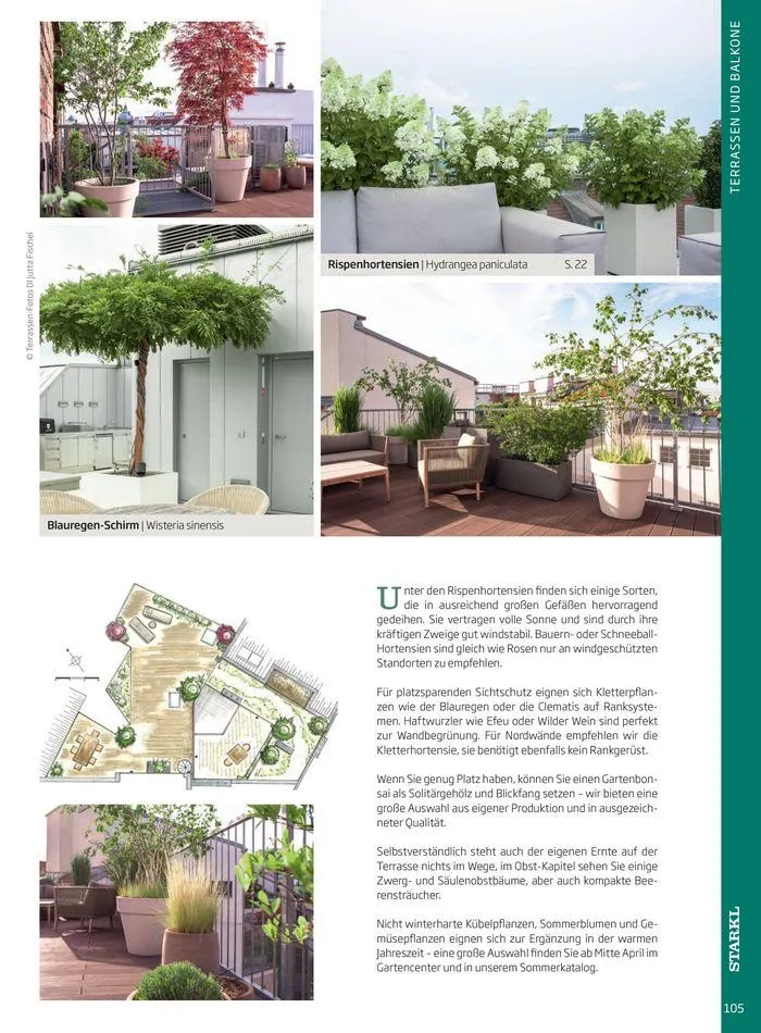 Gartencenter Jahreskatalog 2024 von 20. Mai bis 31. Dezember 2024 - Flugblätt seite 105