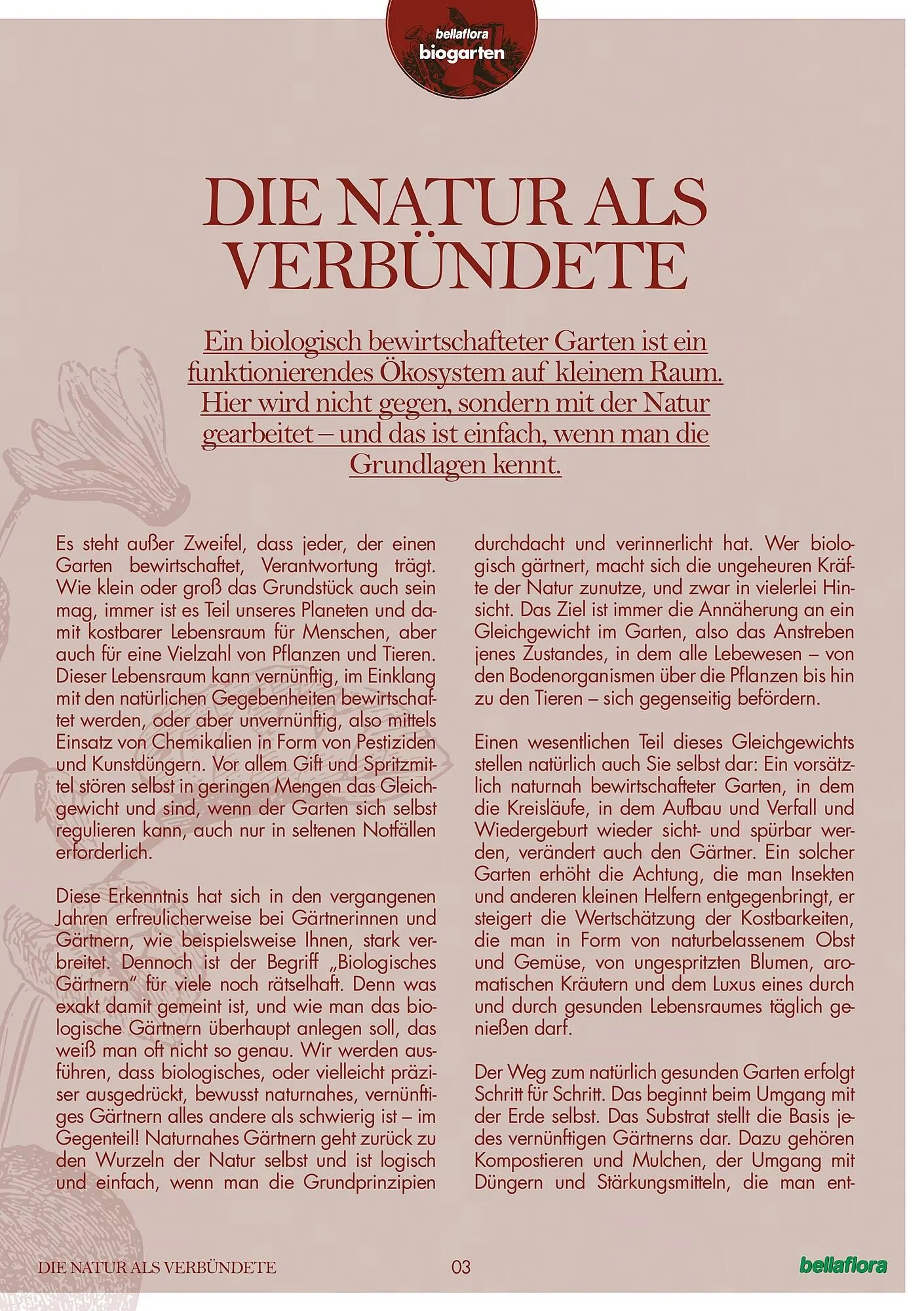 Bellaflora Flugblatt von 3. Jänner bis 31. Mai 2025 - Flugblätt seite  3