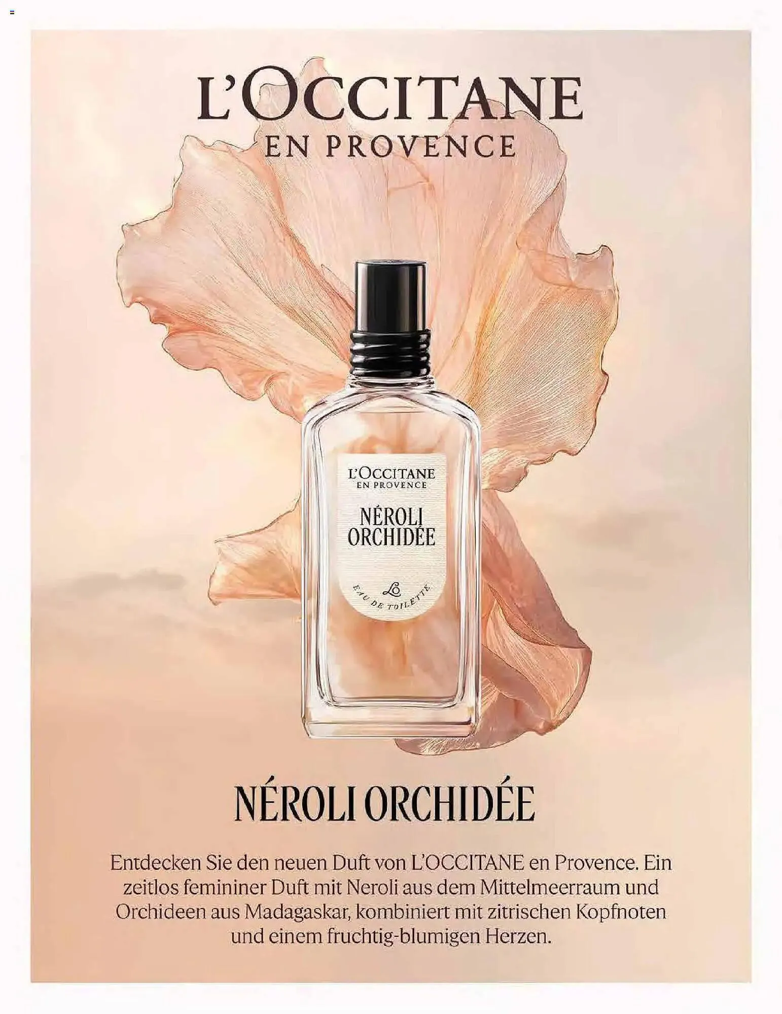 Müller Flugblatt von 17. November bis 31. Dezember 2025 - Flugblätt seite  15