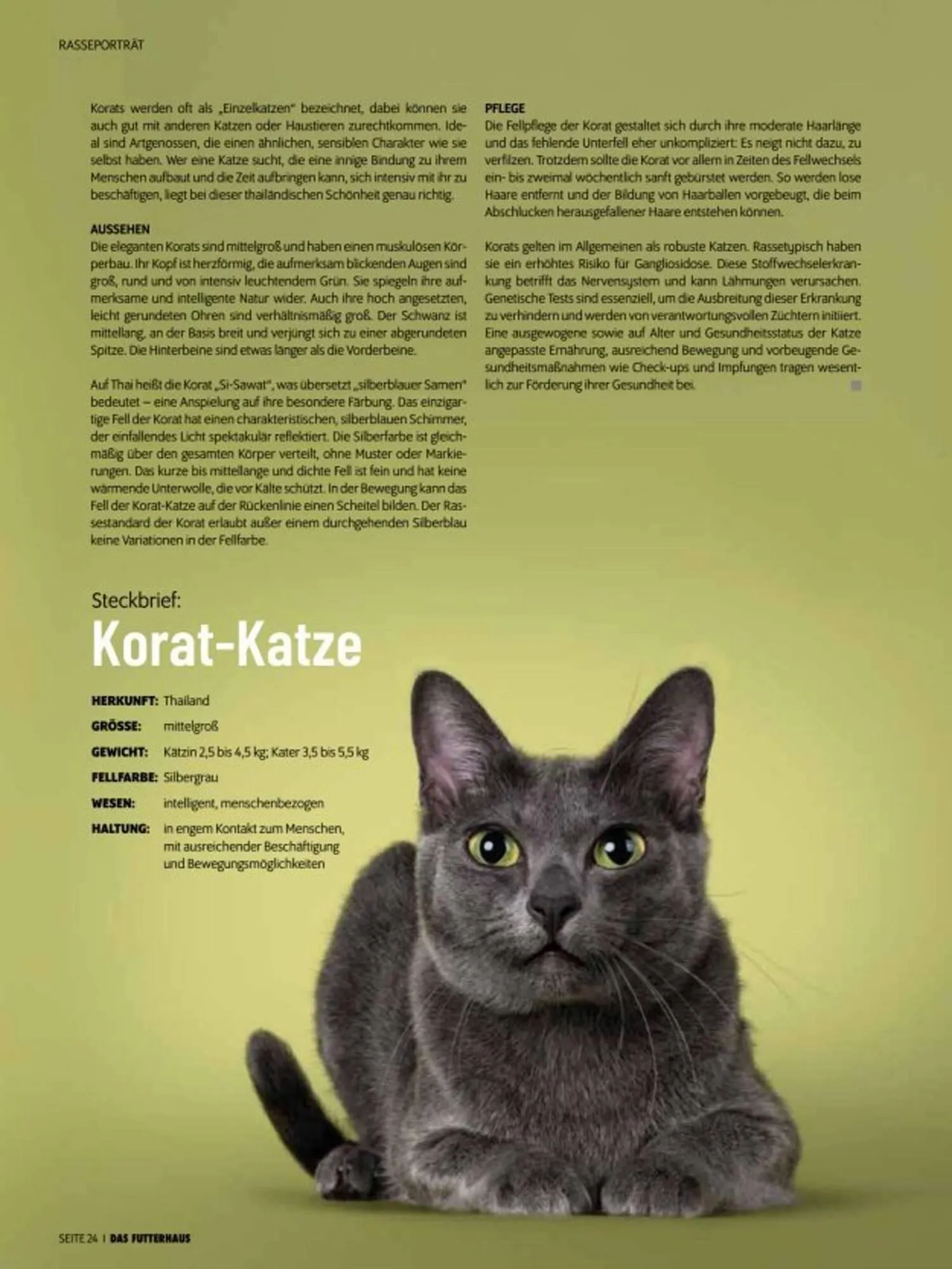 Das Futterhaus Prospekt von 3. Oktober bis 30. November 2025 - Flugblätt seite  24