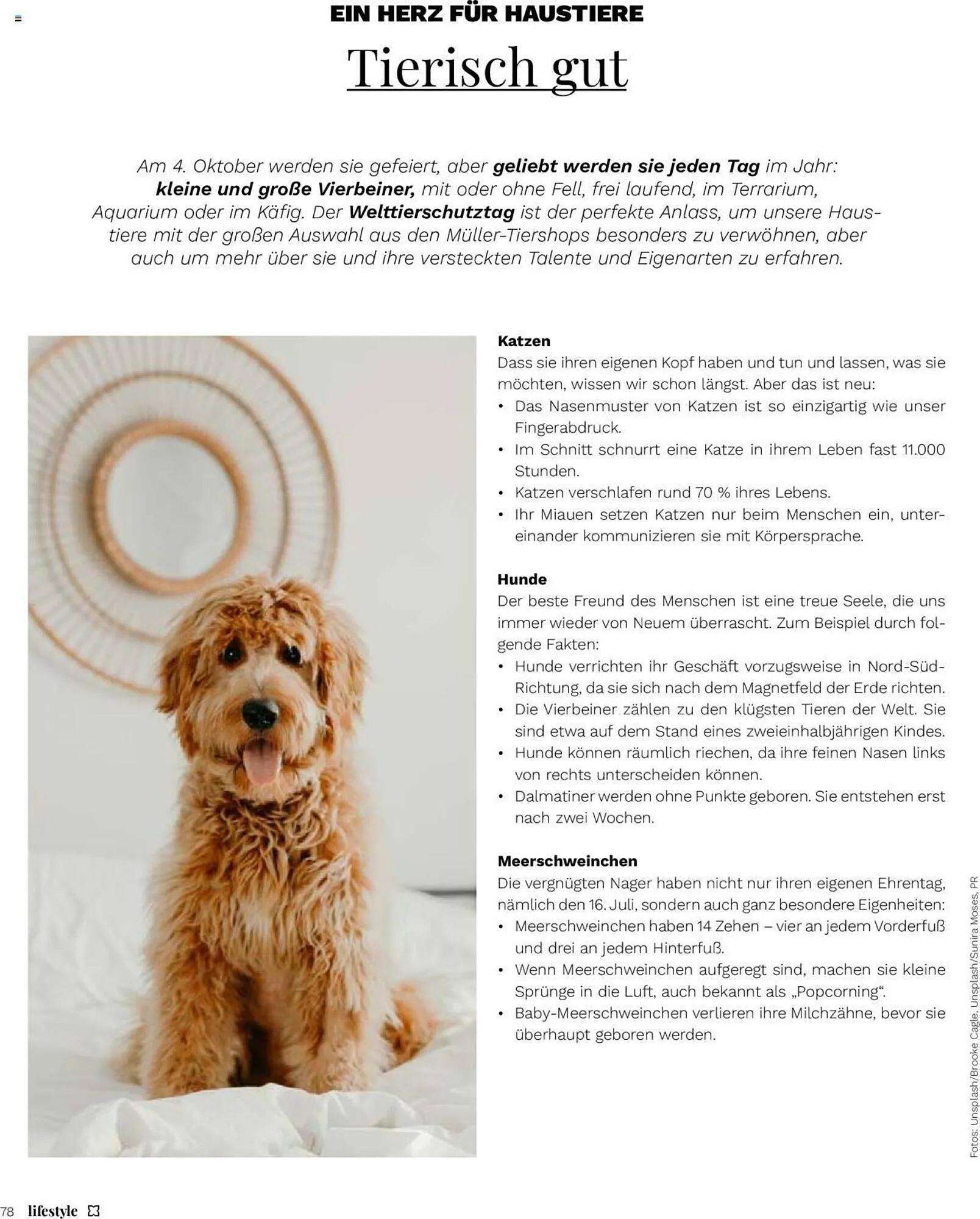 Müller Flugblatt von 1. September bis 31. Oktober 2023 - Flugblätt seite  78