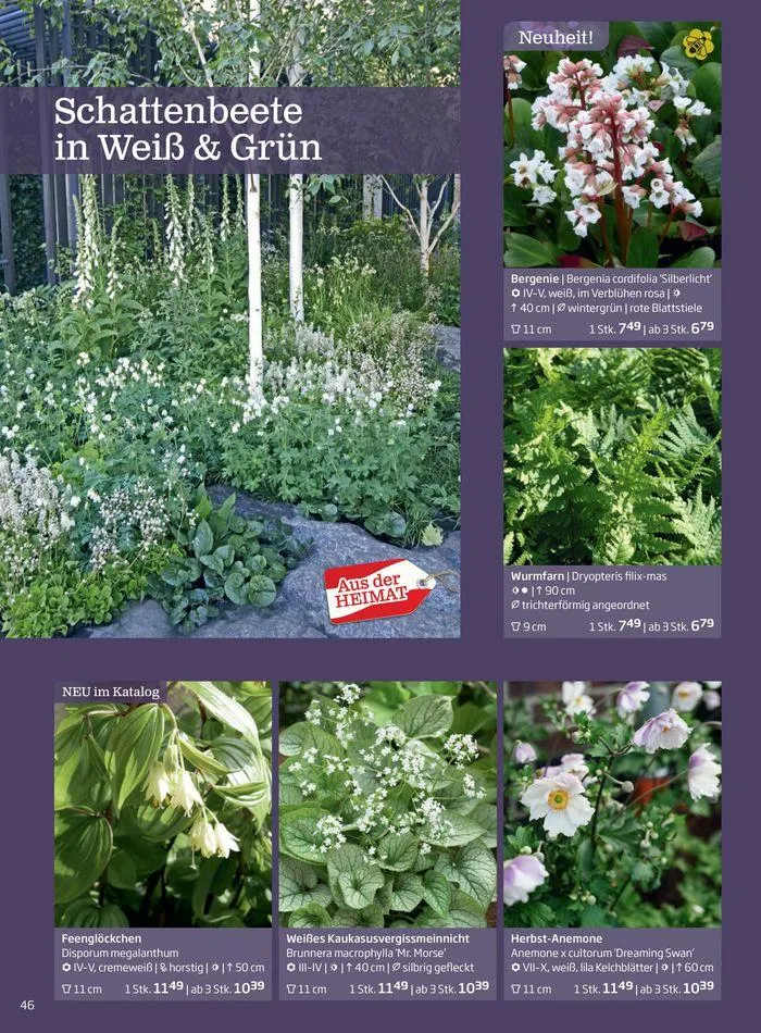 Gartencenter Jahreskatalog 2024 von 20. Mai bis 31. Dezember 2024 - Flugblätt seite  46