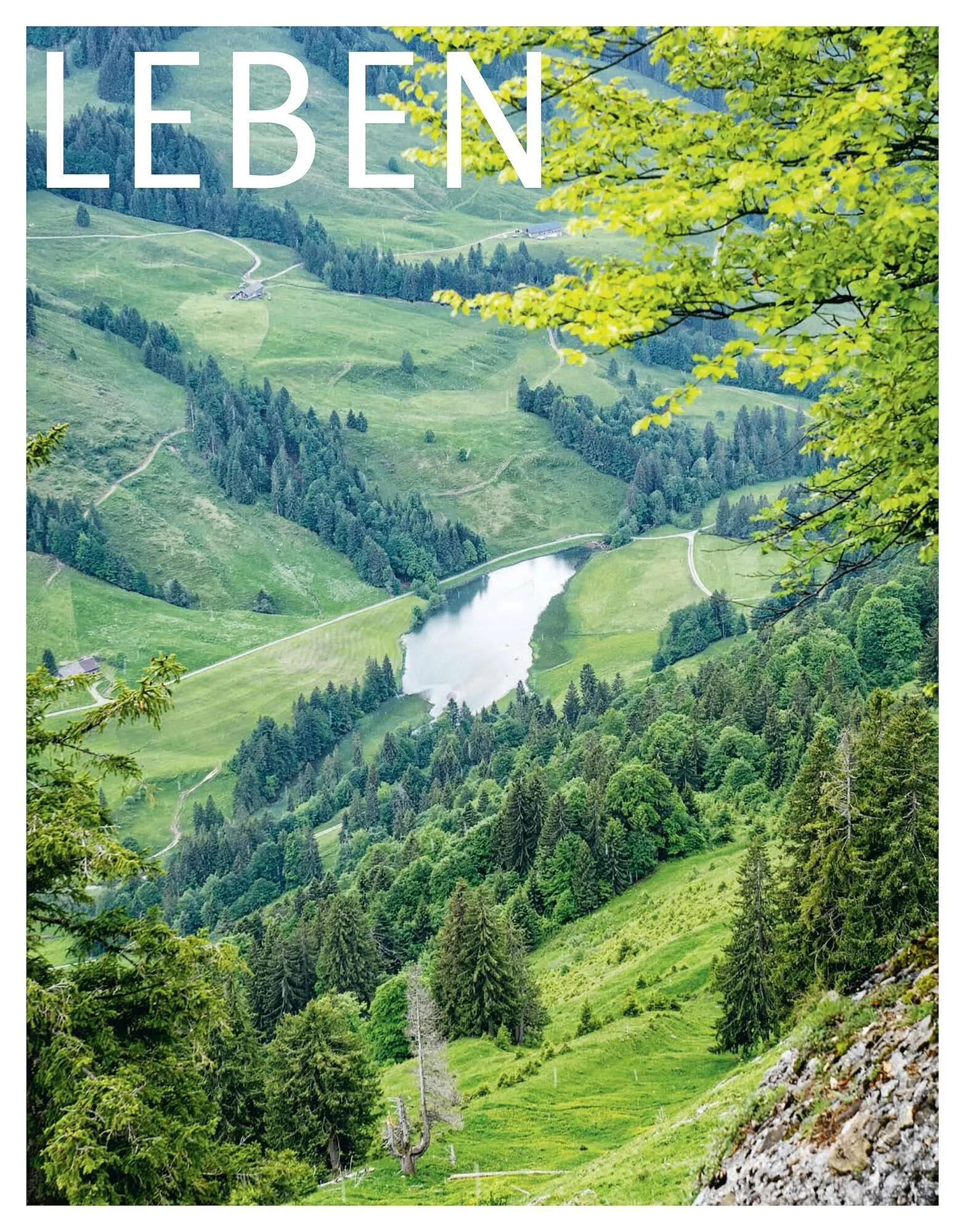 Sutterlüty Flugblatt von 19. November bis 9. Dezember 2024 - Flugblätt seite  86