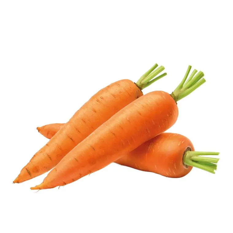 Bio Karotten