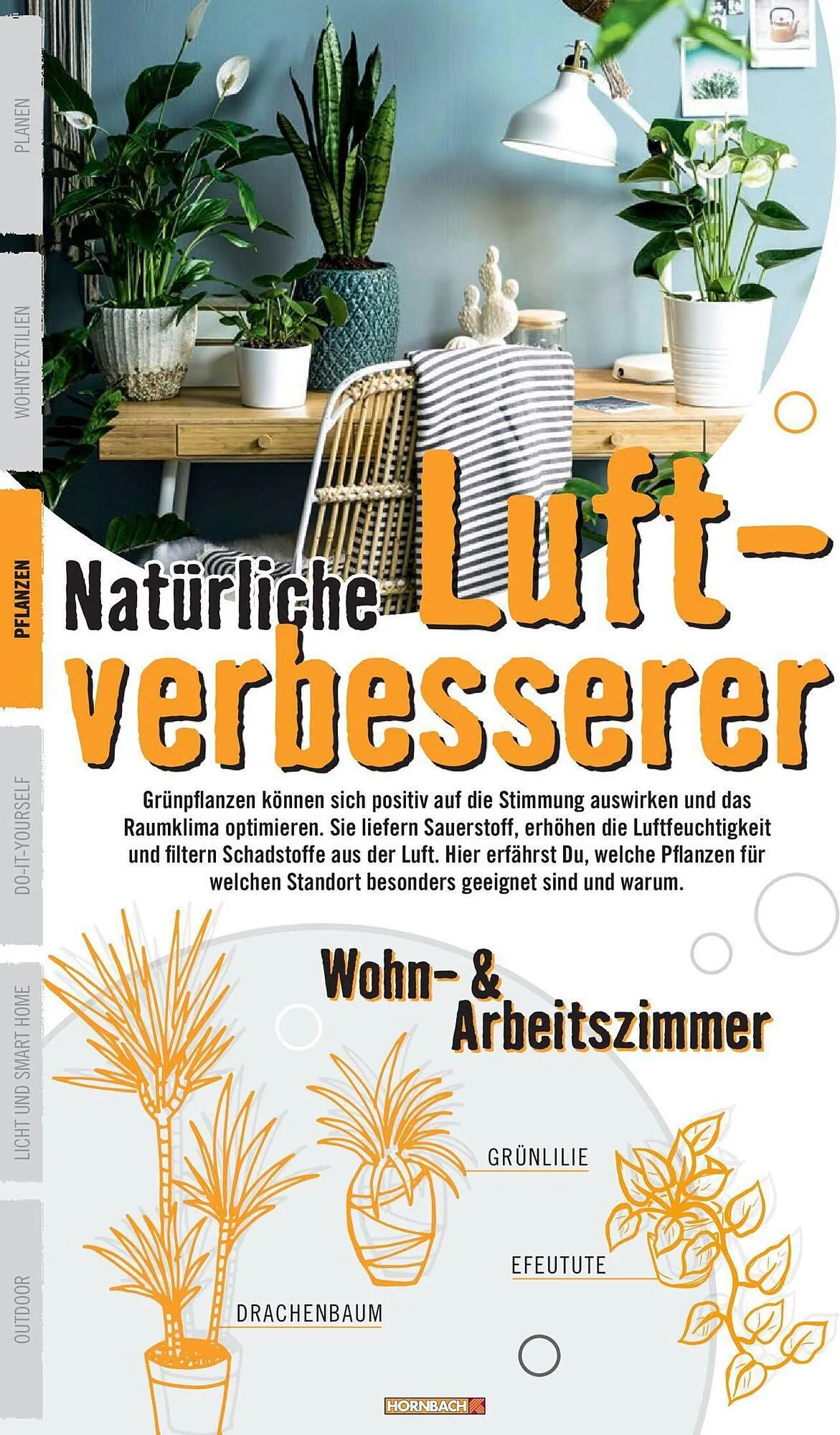 Hornbach Flugblatt von 12. Jänner bis 16. Februar 2024 - Flugblätt seite  20