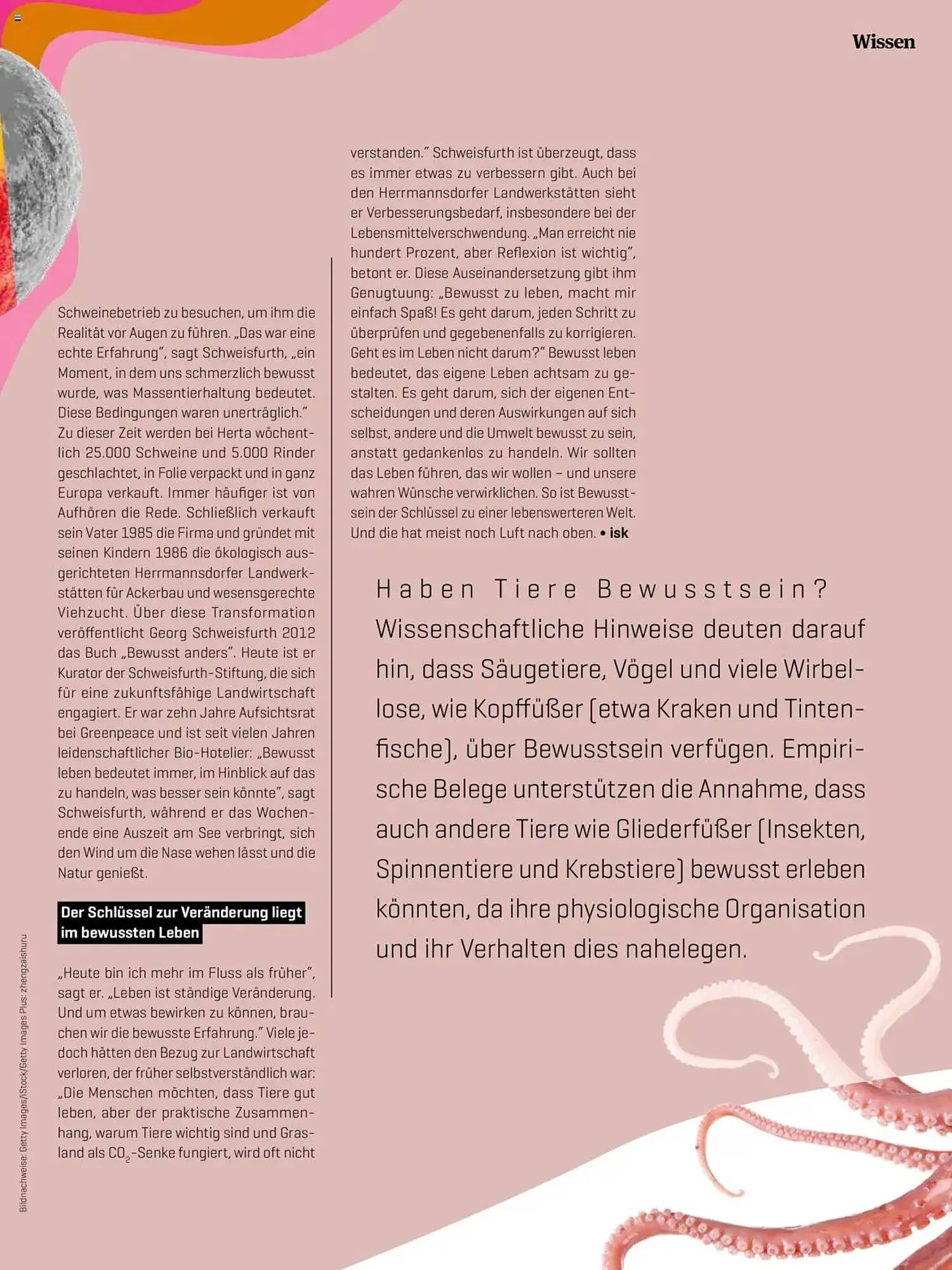 Denn's Biomarkt Flugblatt von 11. Februar bis 6. August 2025 - Flugblätt seite  11