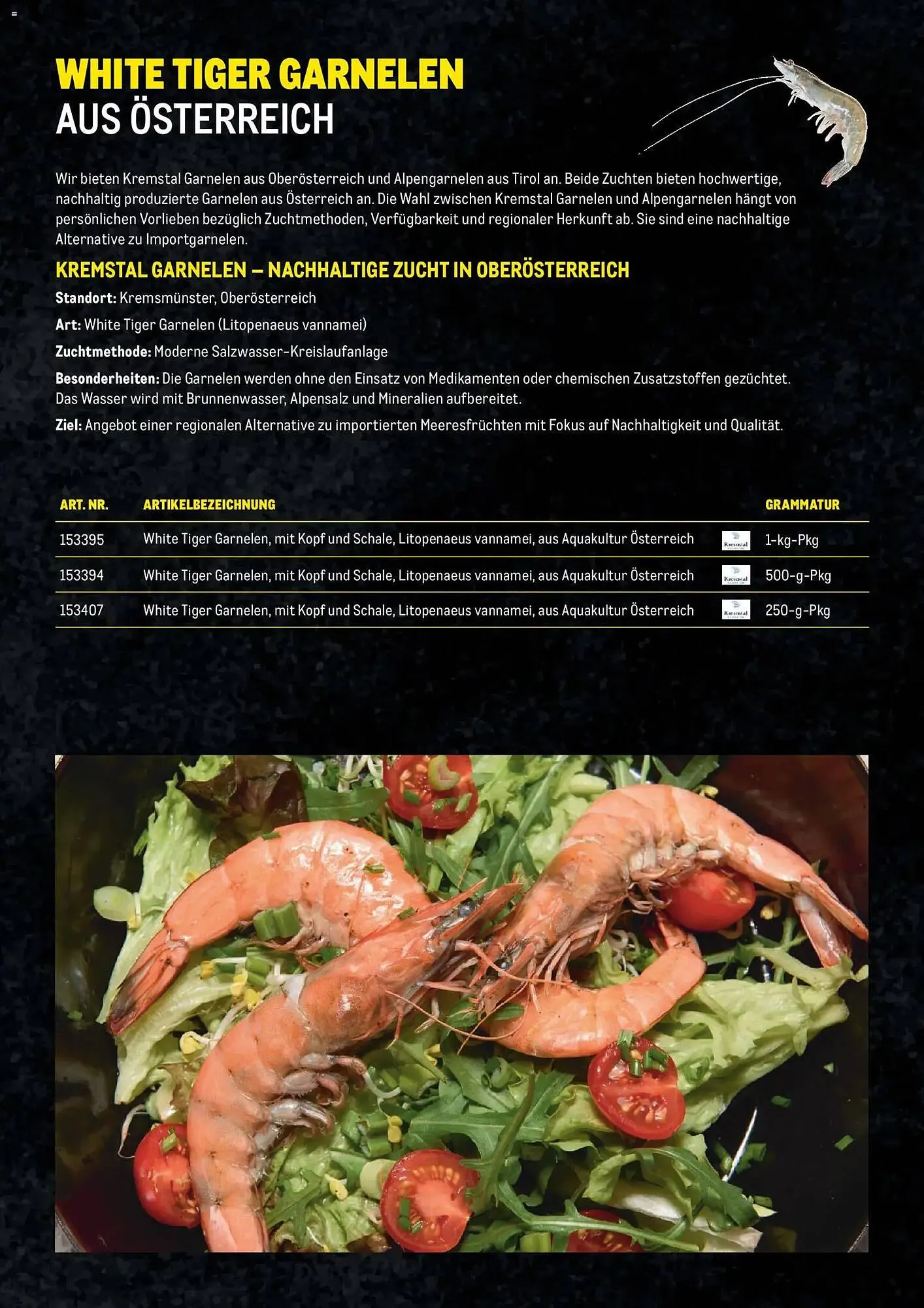 Metro Flugblatt von 27. November bis 31. Dezember 2025 - Flugblätt seite  12