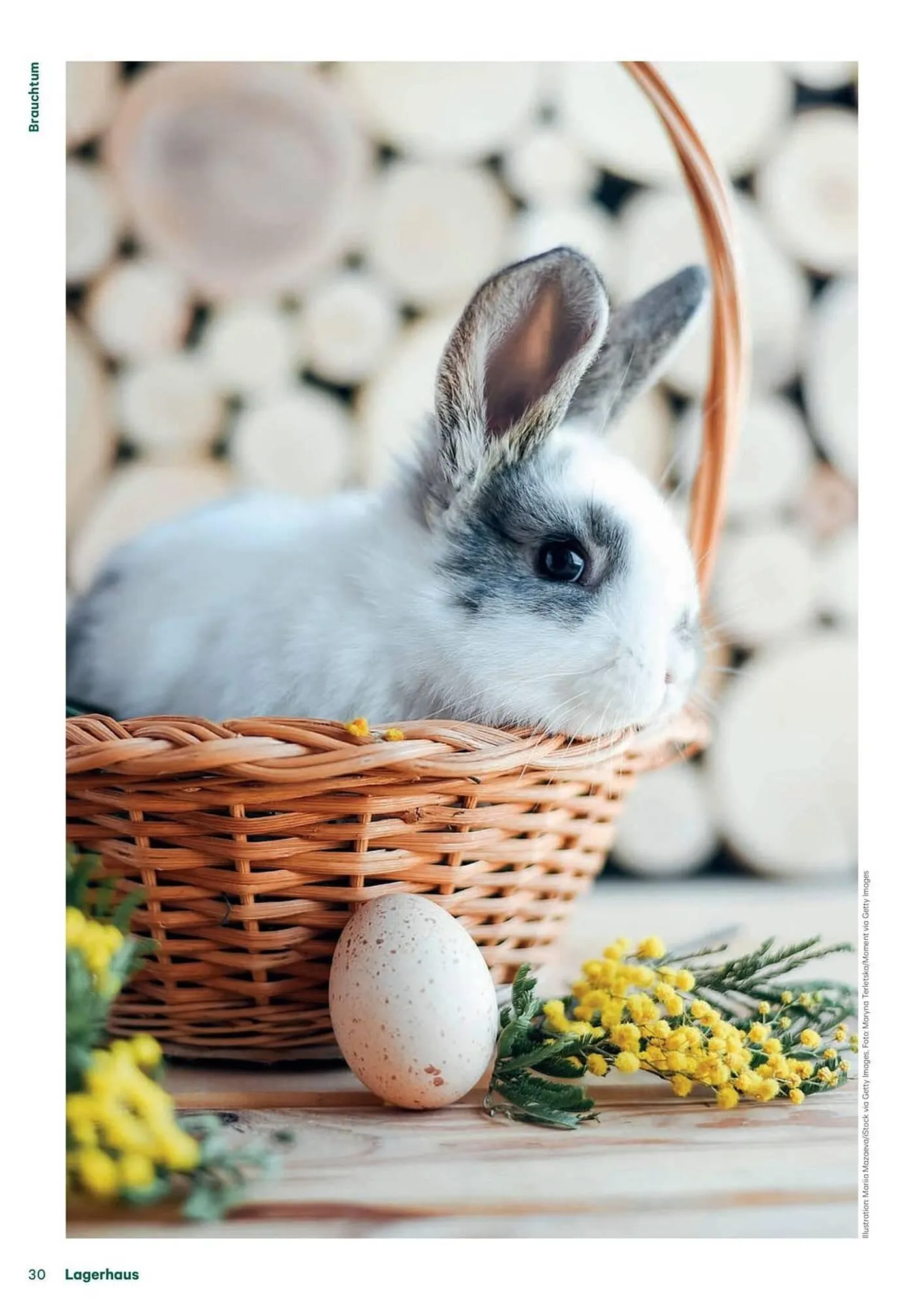 Lagerhaus Flugblatt von 1. Februar bis 28. Februar 2026 - Flugblätt seite  30