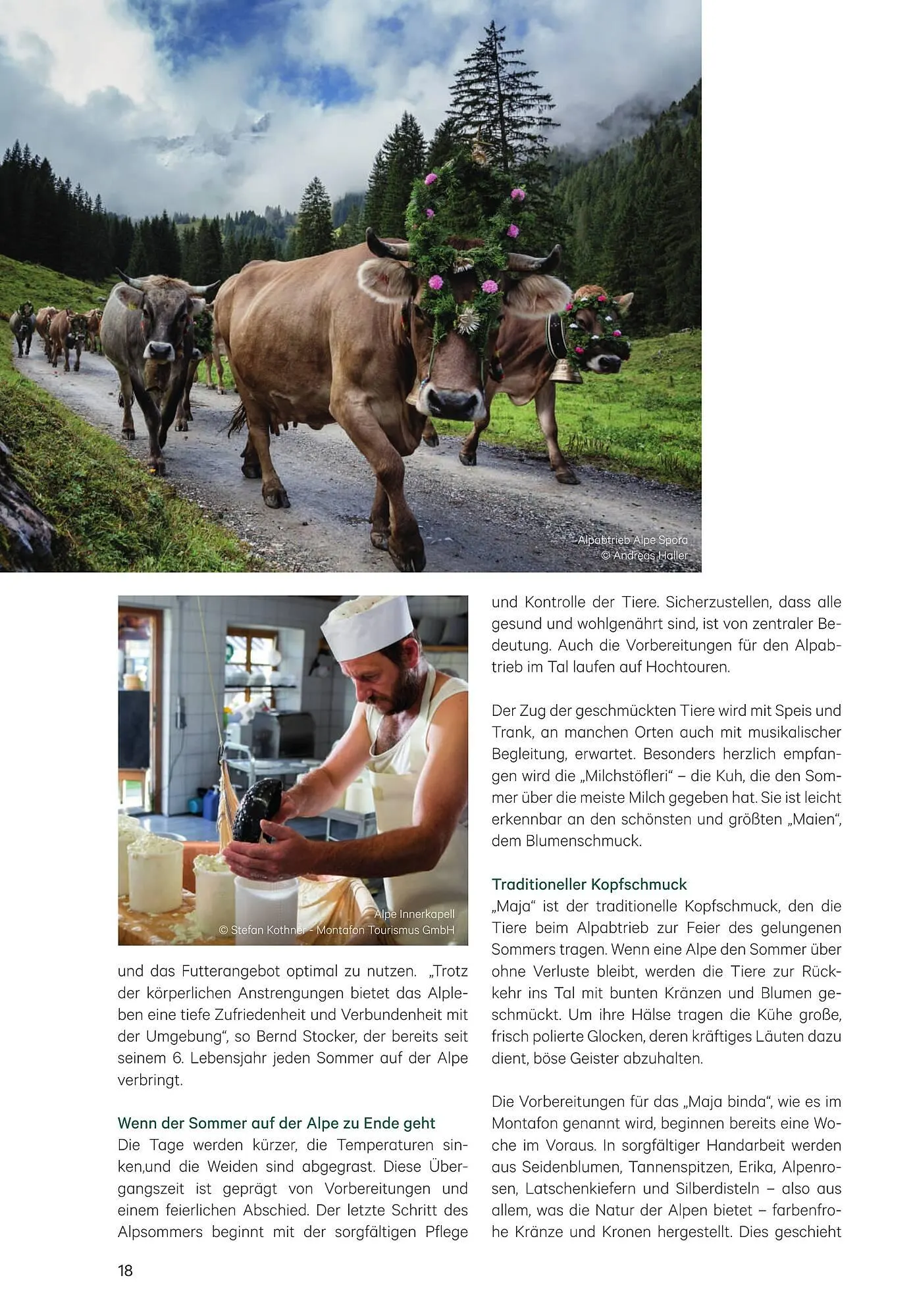 BayWa Flugblatt von 3. Jänner bis 5. Februar 2025 - Flugblätt seite  18