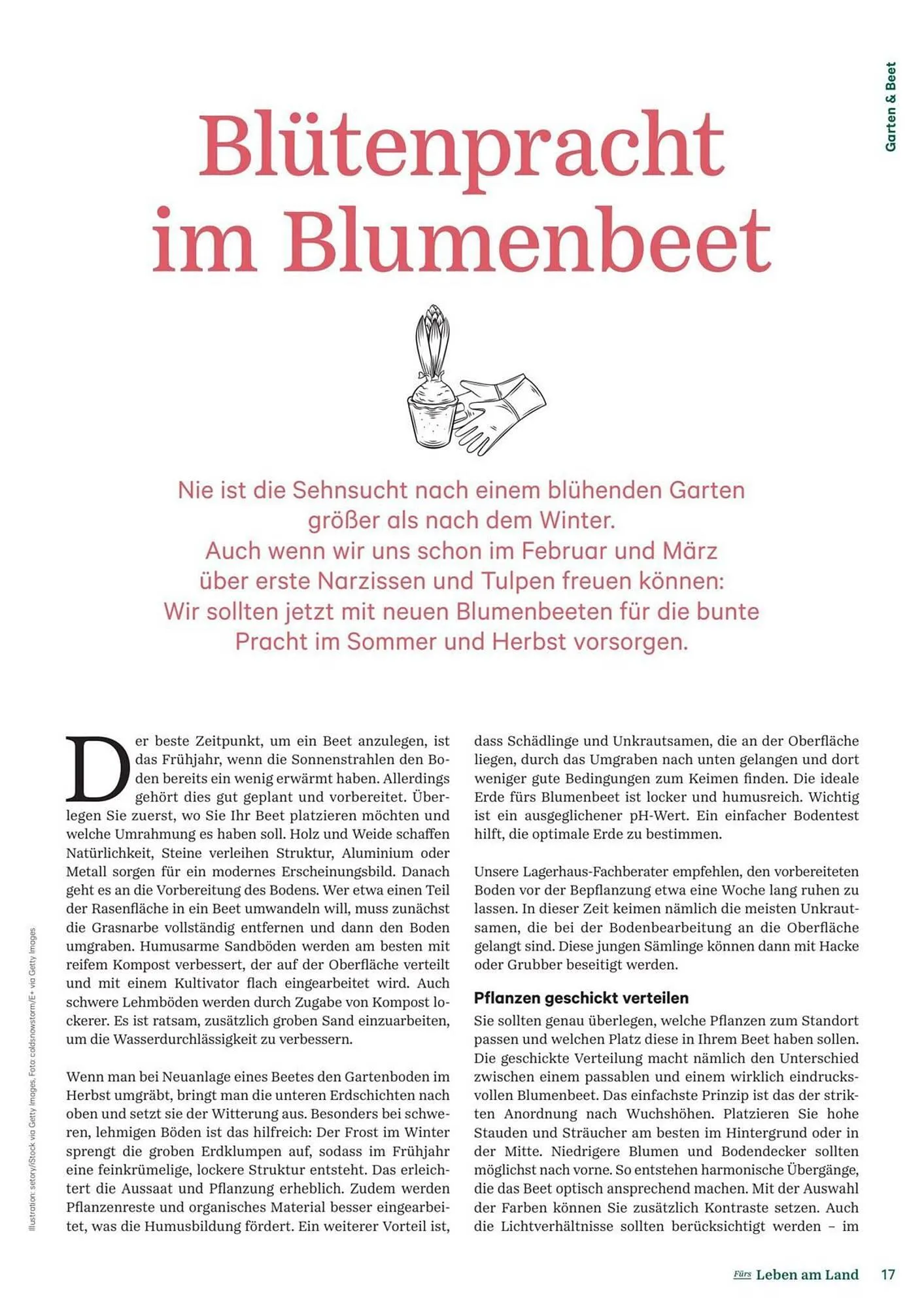 Lagerhaus Flugblatt von 1. Februar bis 28. Februar 2026 - Flugblätt seite  17
