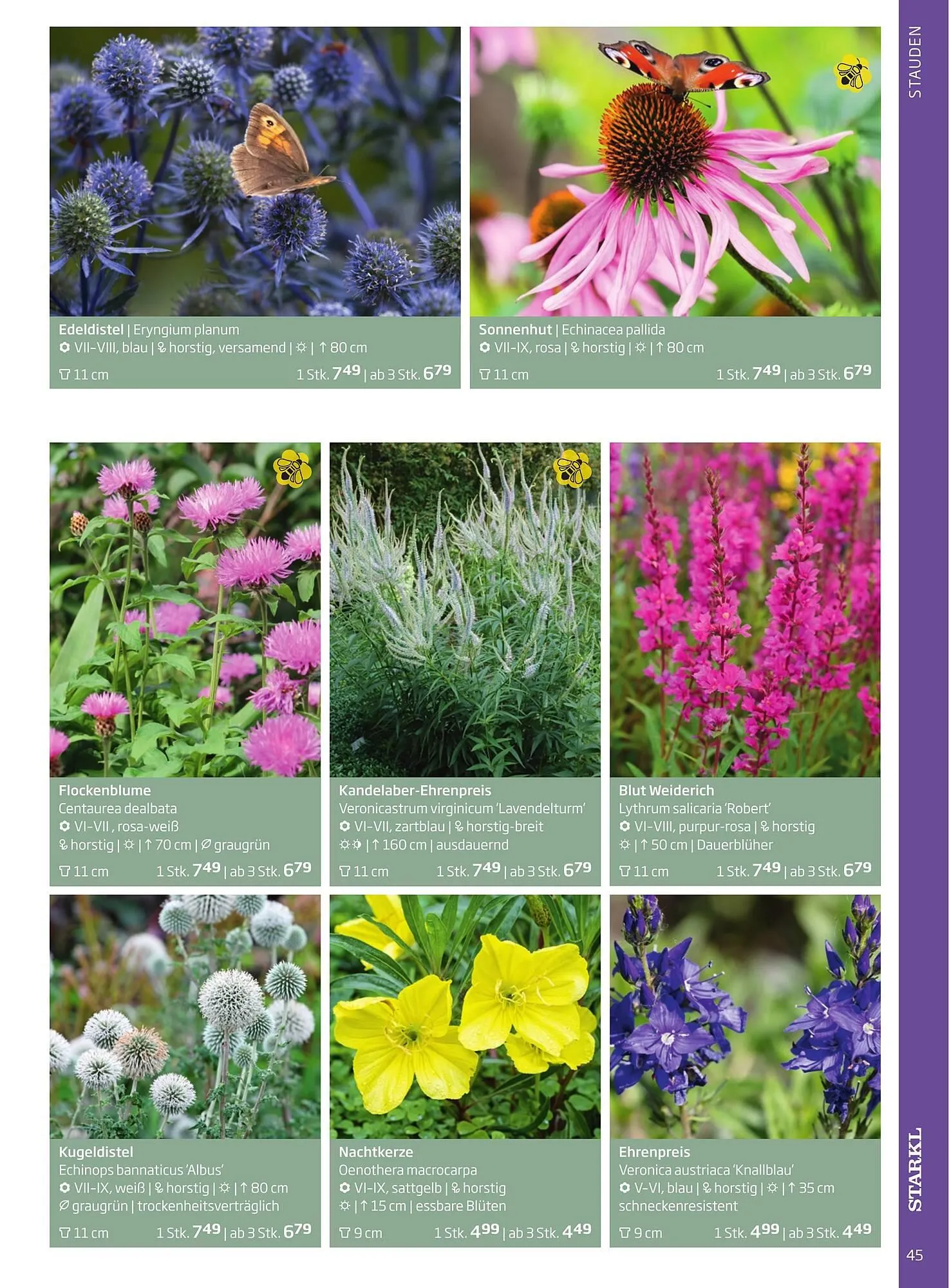 Starkl Flugblatt von 6. Juni bis 31. Dezember 2025 - Flugblätt seite 45