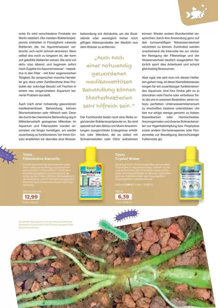 Angebote ZOO & Co von 29. November bis 13. Dezember 2024 - Flugblätt seite 61