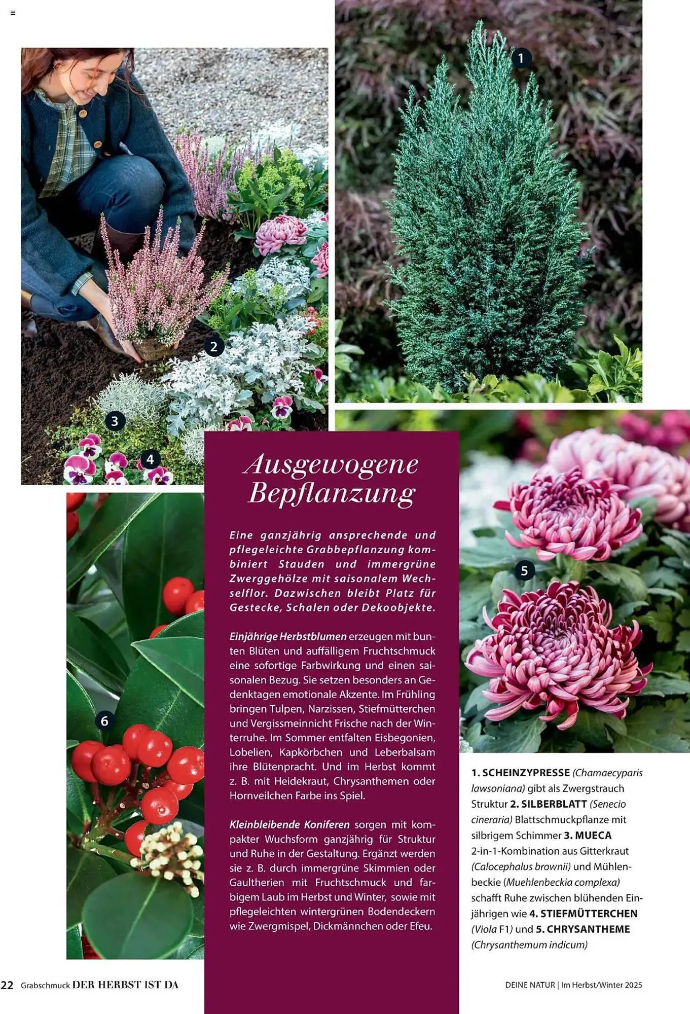 Dehner Flugblatt von 10. Oktober bis 30. November 2025 - Flugblätt seite 22