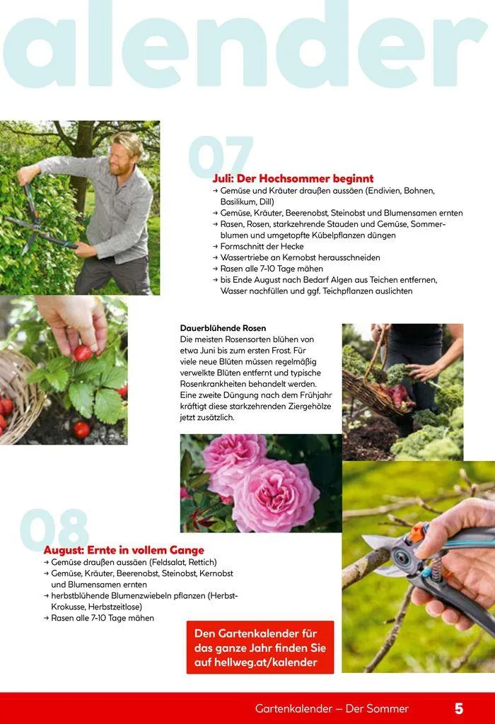 Smartes Gärtnern von 11. Juni bis 31. Dezember 2024 - Flugblätt seite 5
