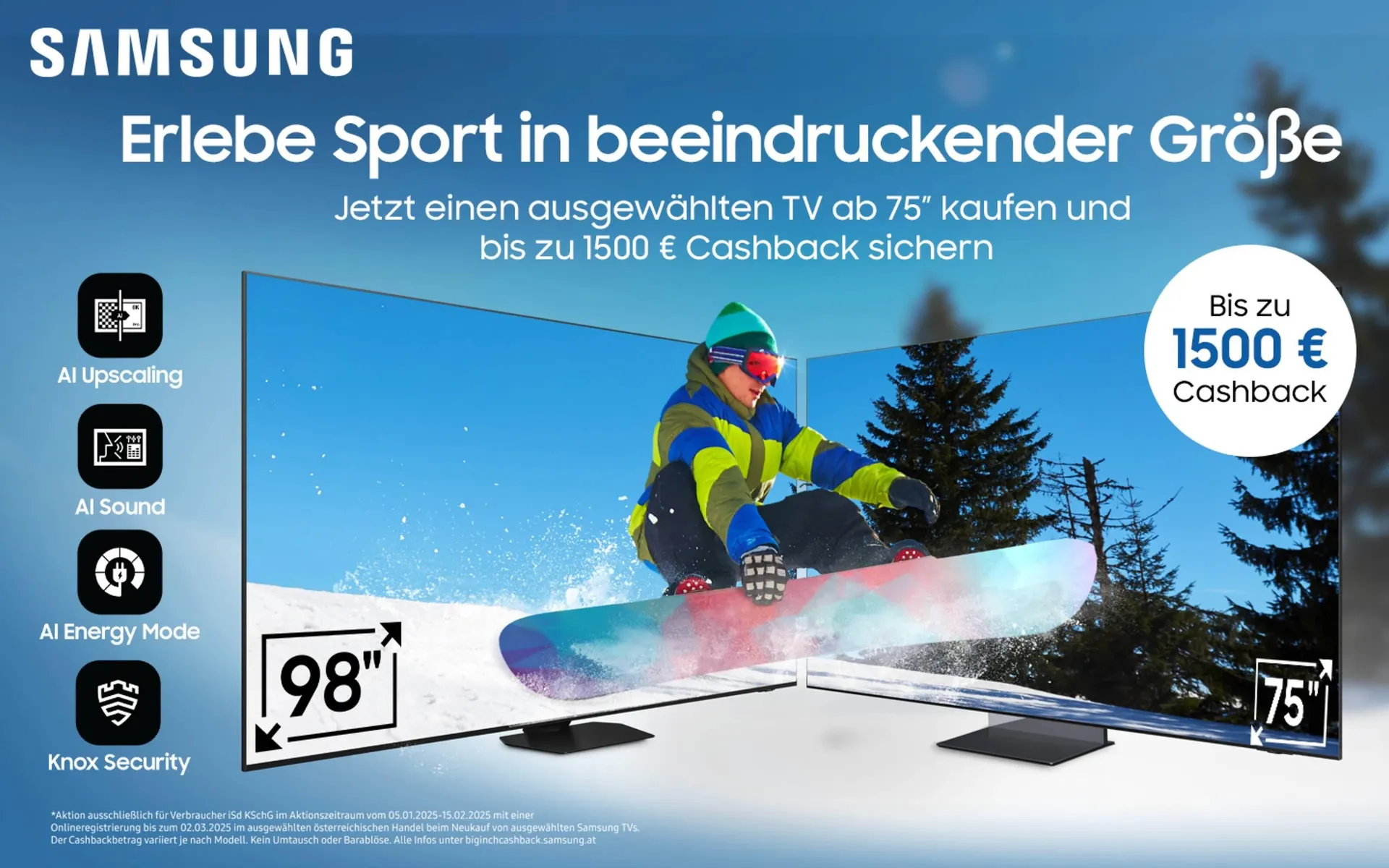 Cosmos Flugblatt - 1